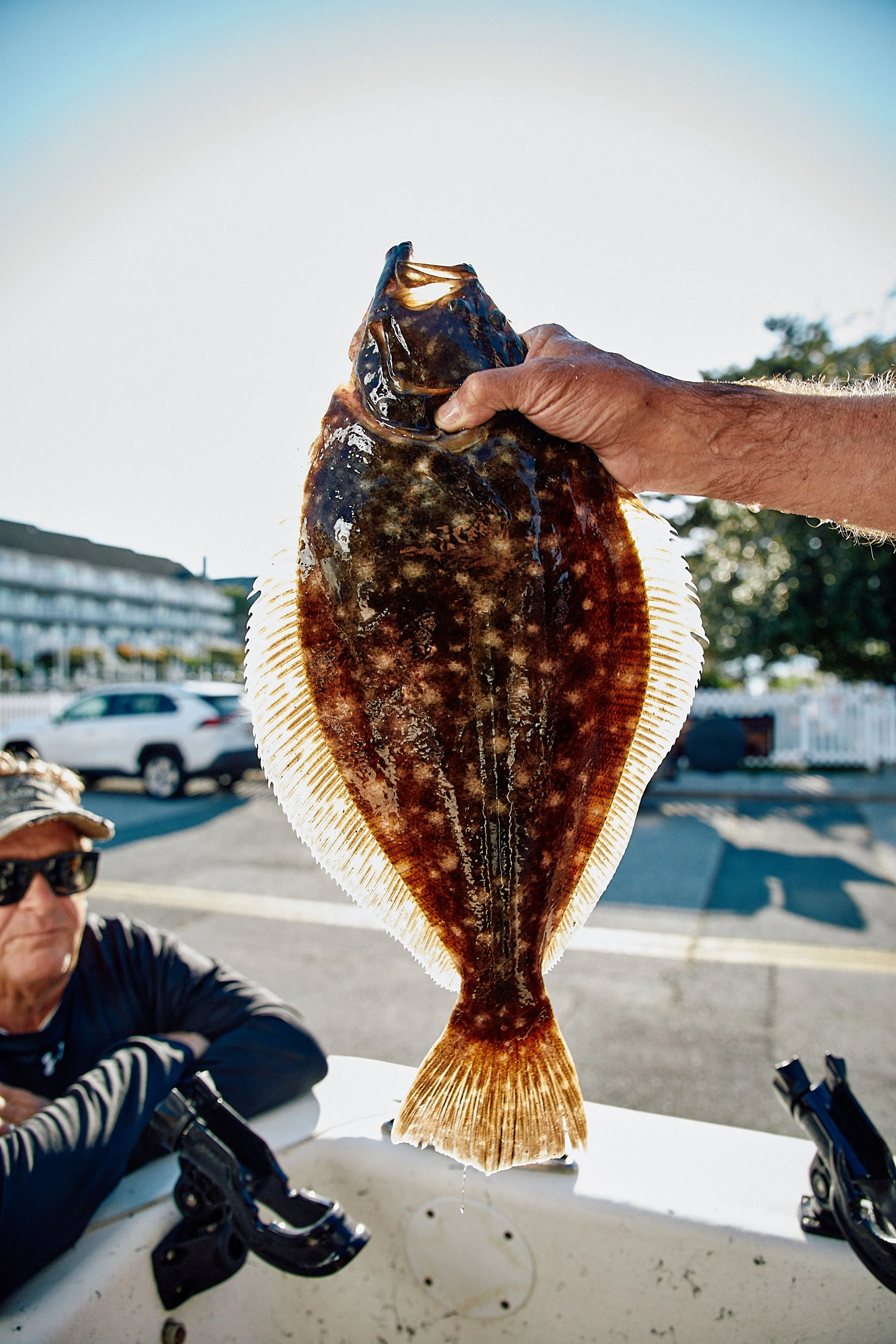 A person holding up a flatfish, likely a flounder, with sunlight shining through its body. sandbar Captain Tilly OC Fishing Charters. Ocean City, MD
