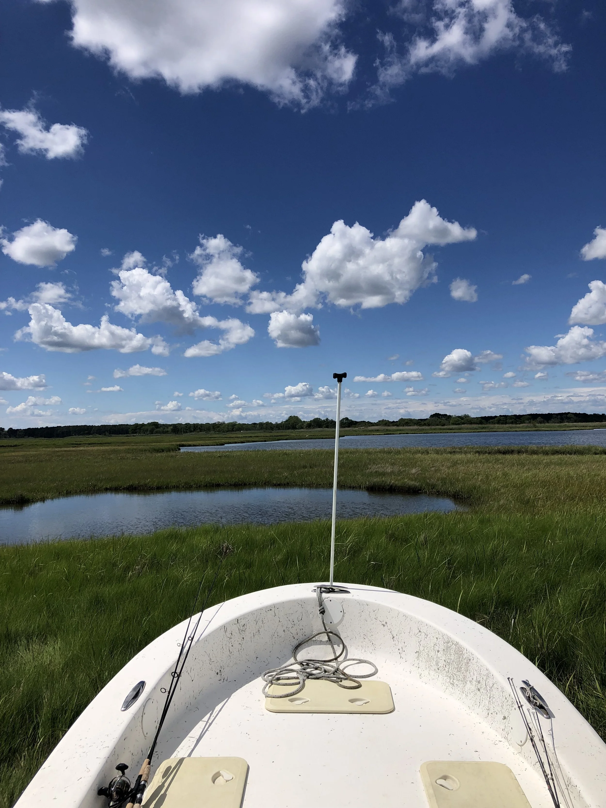 View from a boat's bow with fishing rods and ropes, looking toward green land, calm water, and a blue sky with scattered clouds. sandbar Captain Tilly OC Fishing Charters. Ocean City, MD