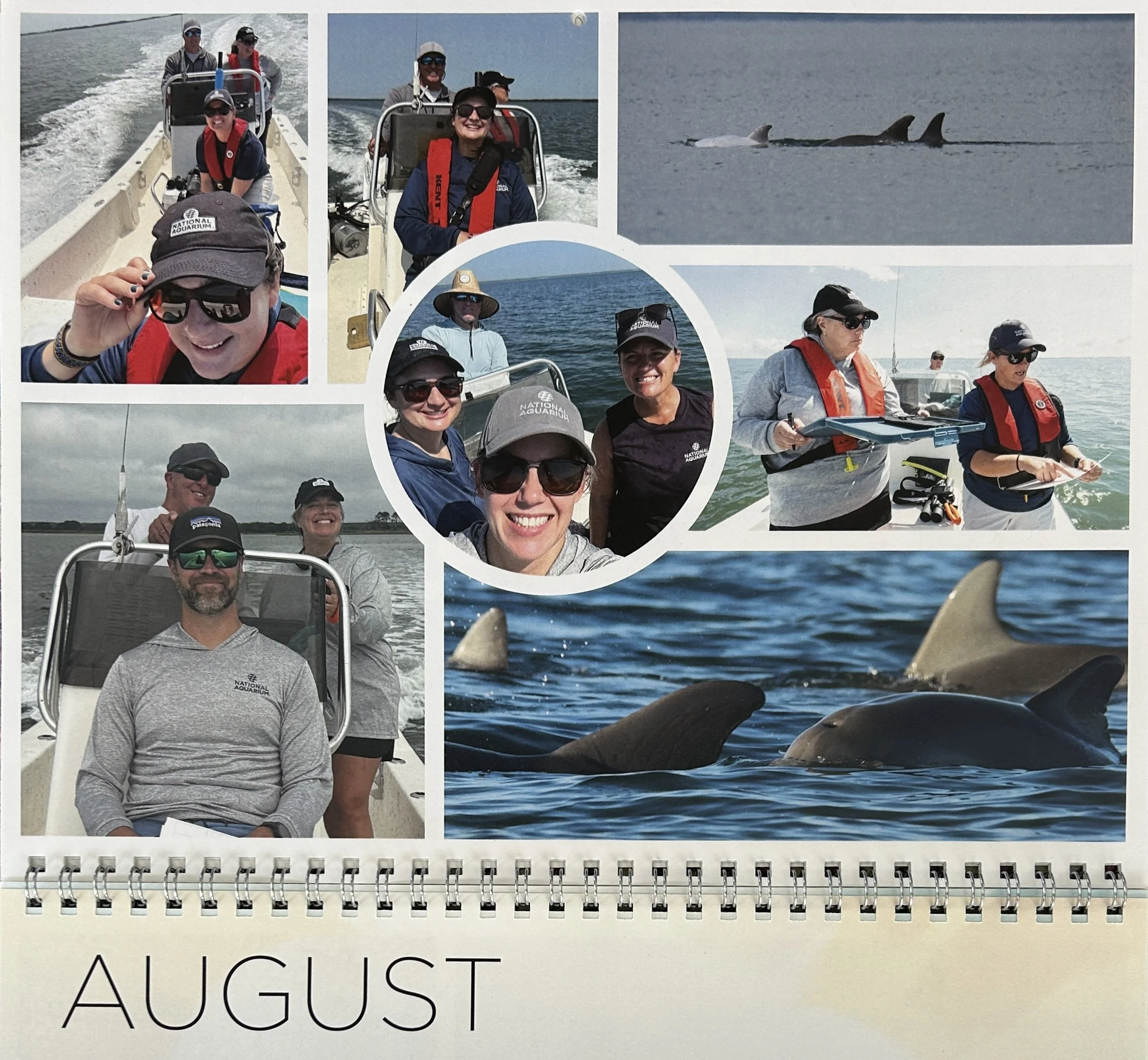 A collage of photos on a notepad page showing people on a boat and orcas swimming in the ocean. sandbar Captain Tilly OC Fishing Charters. Ocean City, MD