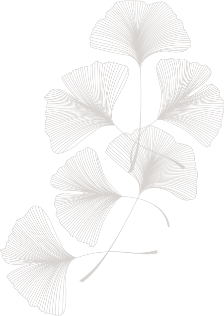 This is an image of gingko leaves. Ann Daniel is a licensed therapist in Indiana, Kansas, and New Hampshire.