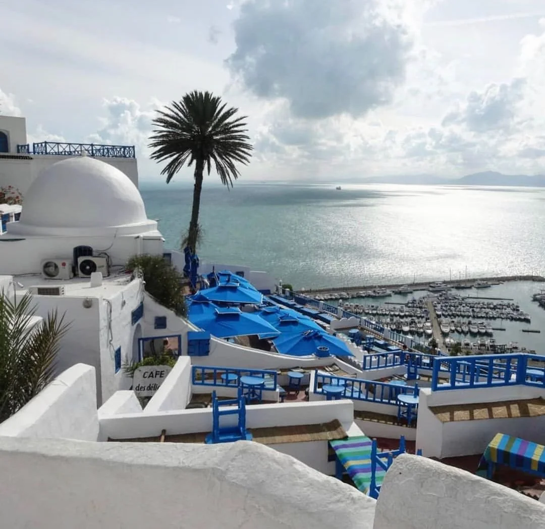 Magia Cartaginei și Farmecul Capitalei Tunis: Excursie de o zi