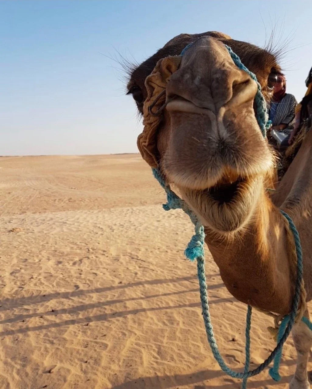 Excursie Deșert Sahara