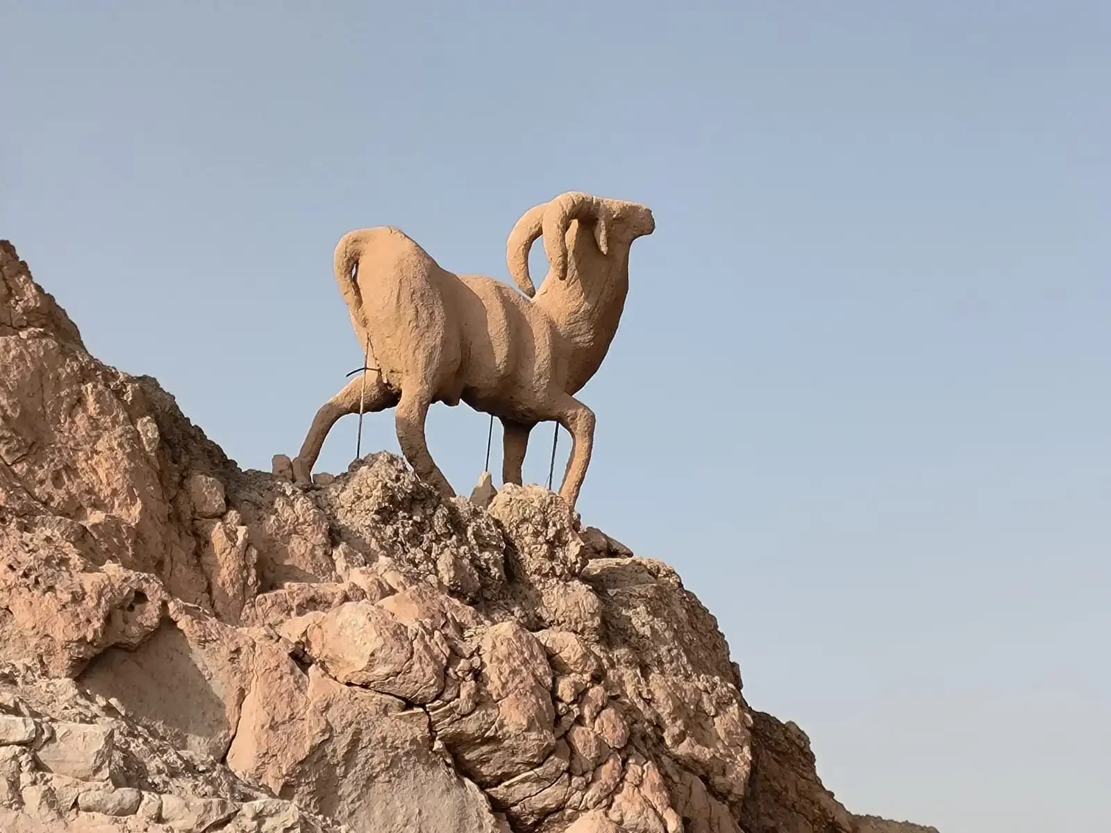 Sahara