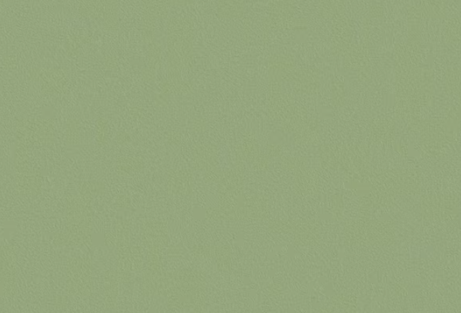 Solid light green textured background