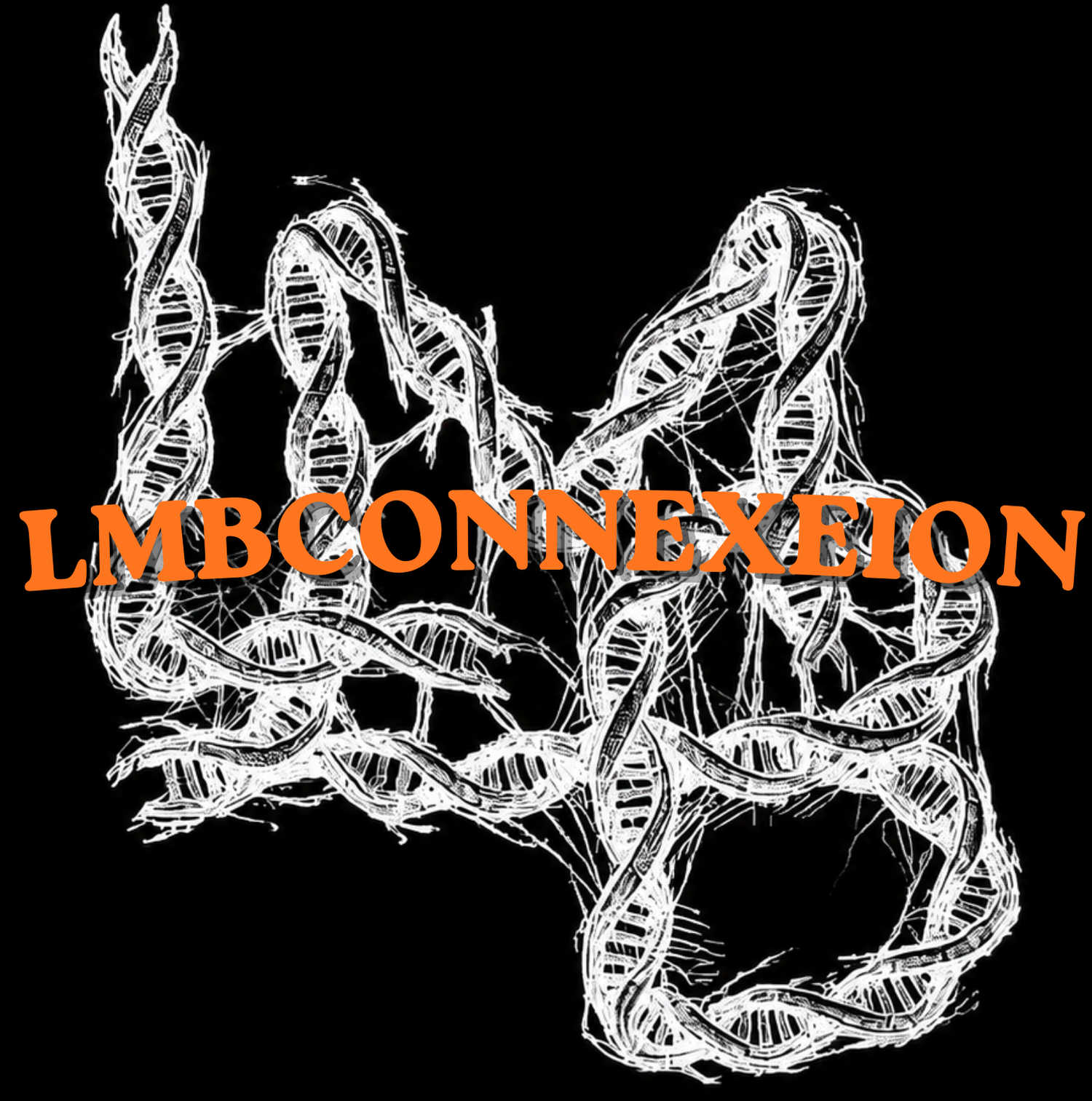 LMBCONNEXEION
