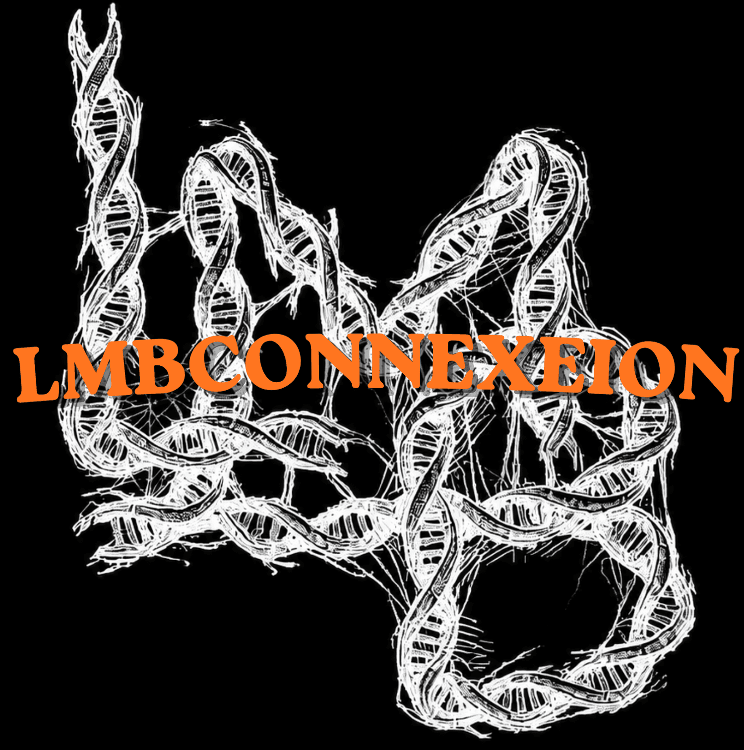 LMBCONNEXEION