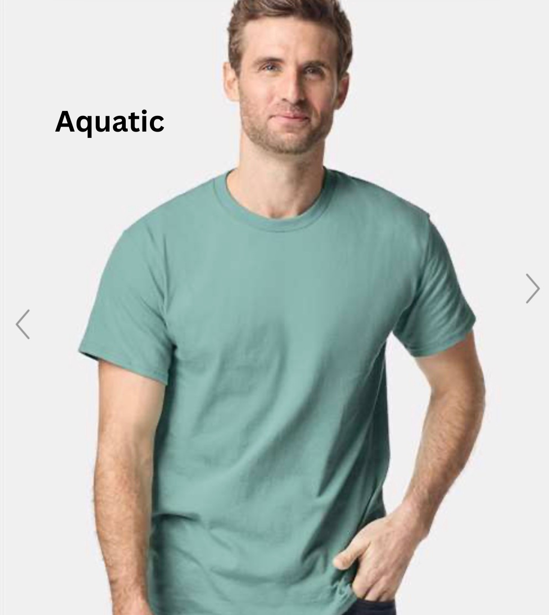 Aquatic.png
