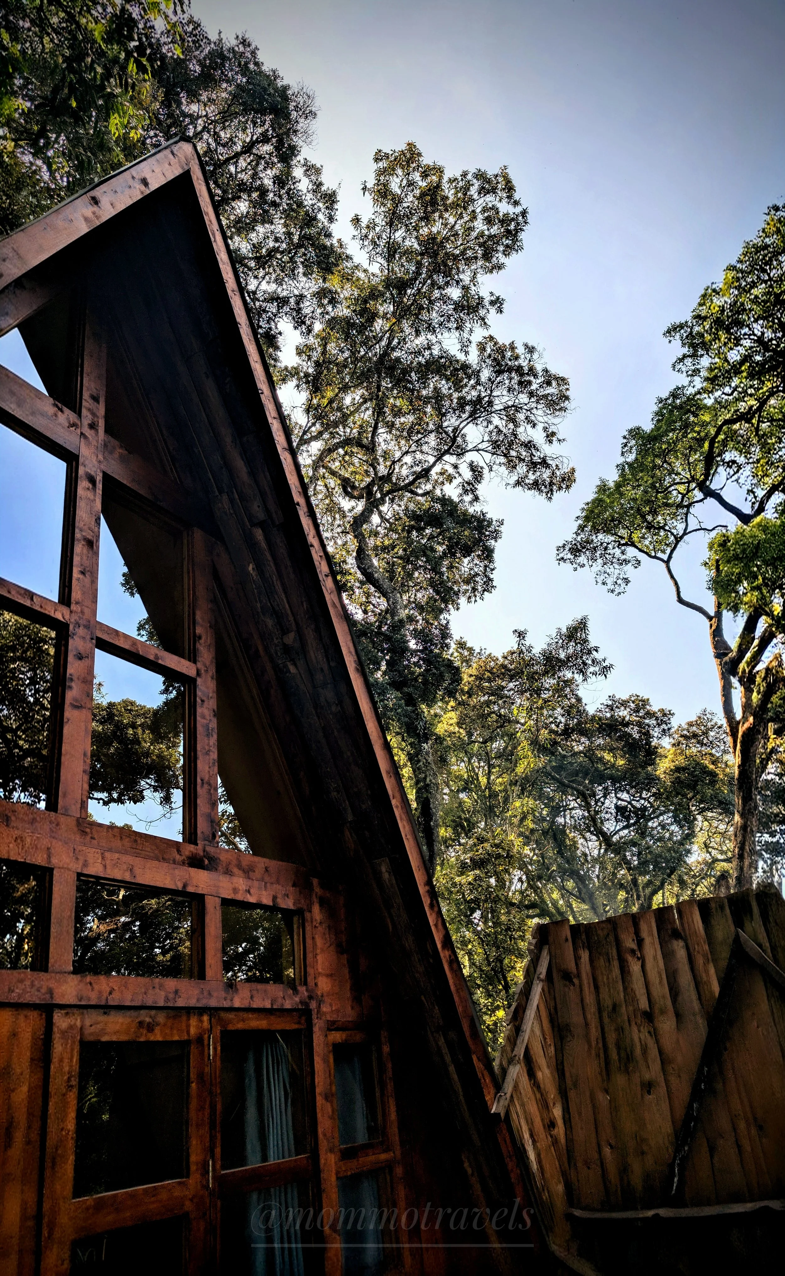 Looking up at a wooden house with large windows and a sloped roof, surrounded by green trees and a clear sky.