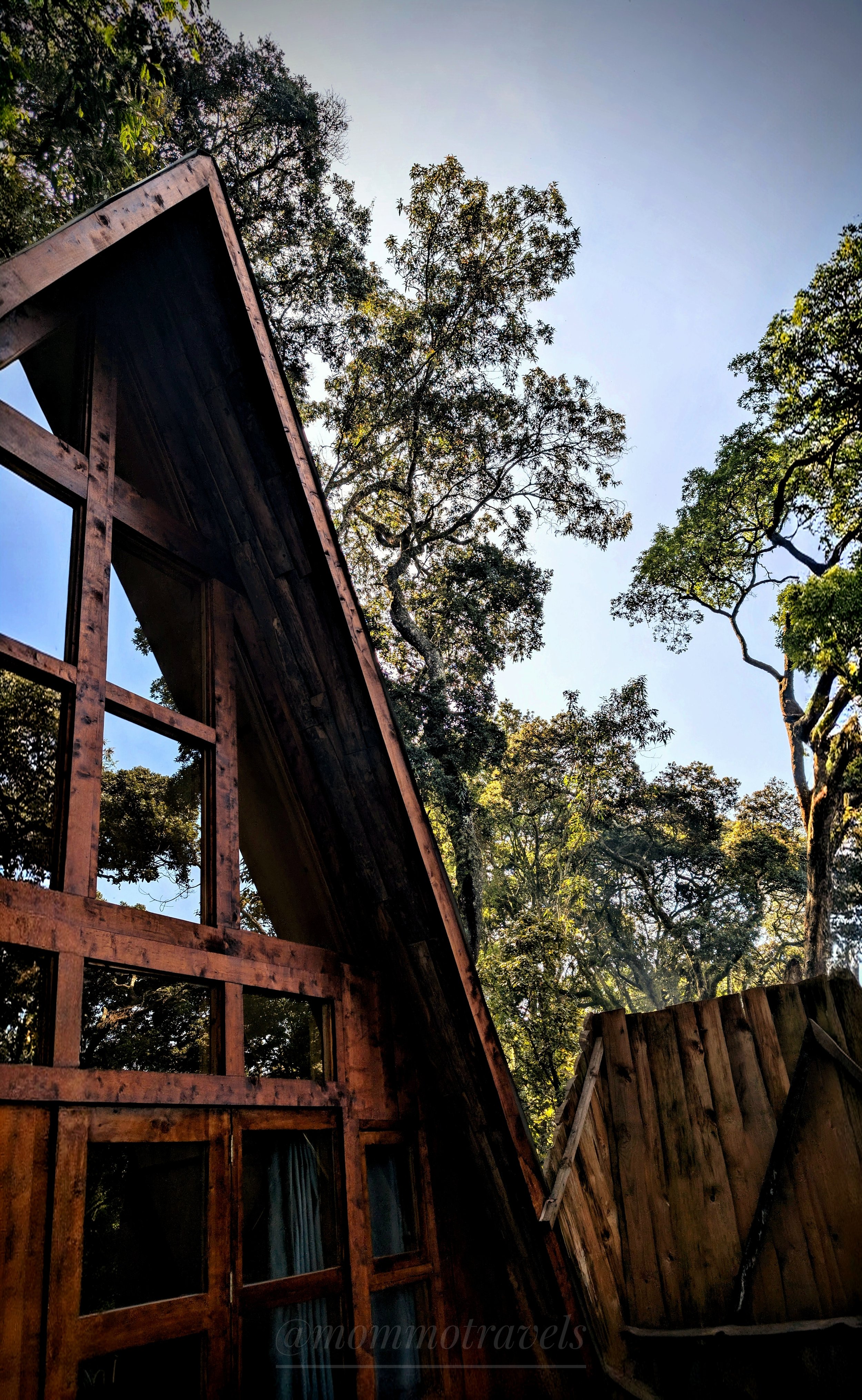 View of a modern wooden and glass house with large windows, surrounded by tall trees with green foliage, under a clear blue sky.
