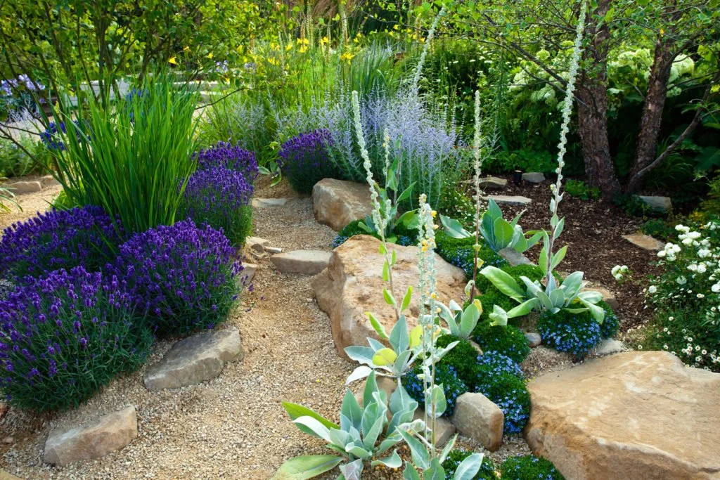 water-wisegardening-1-1024x683-1.jpg