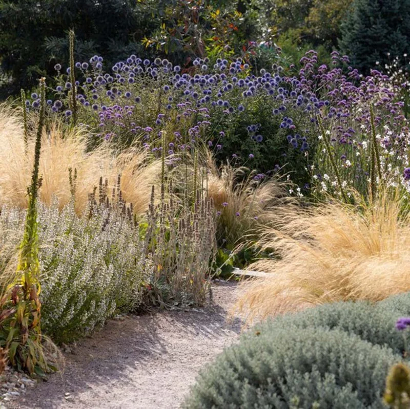 Much Ado About Mulch