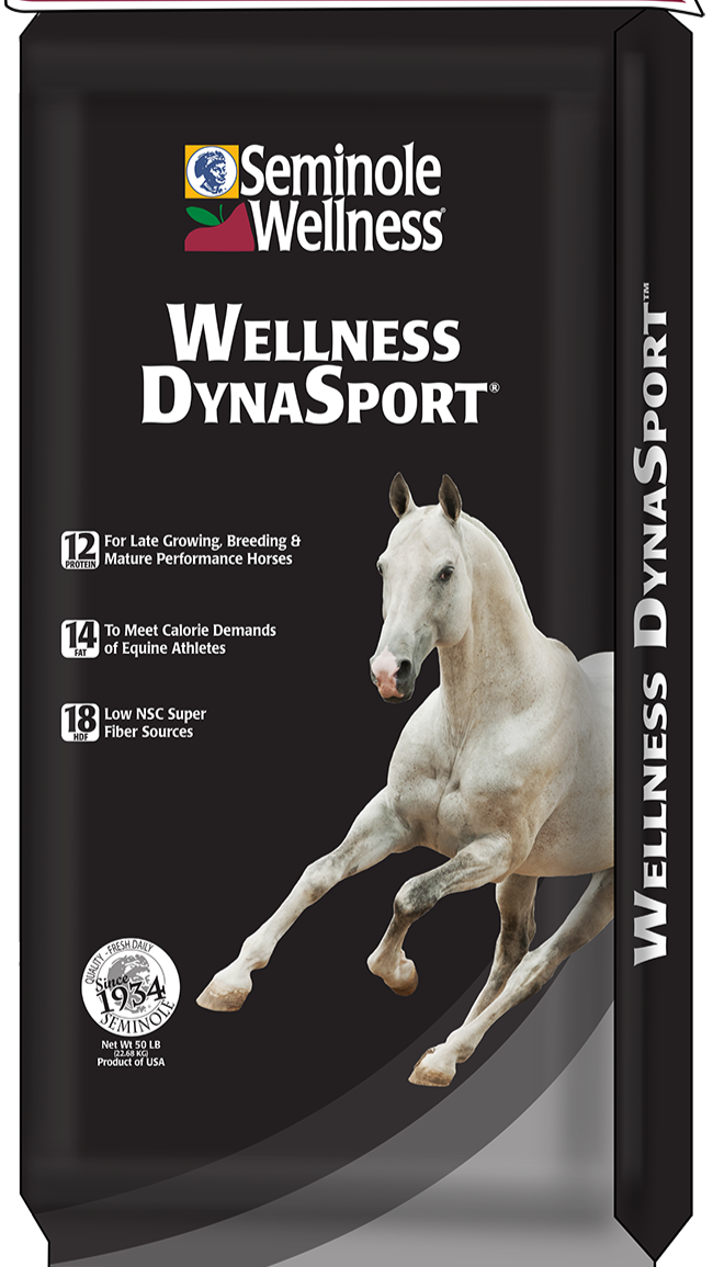 WellnessDynaSport_RGB_SM.png