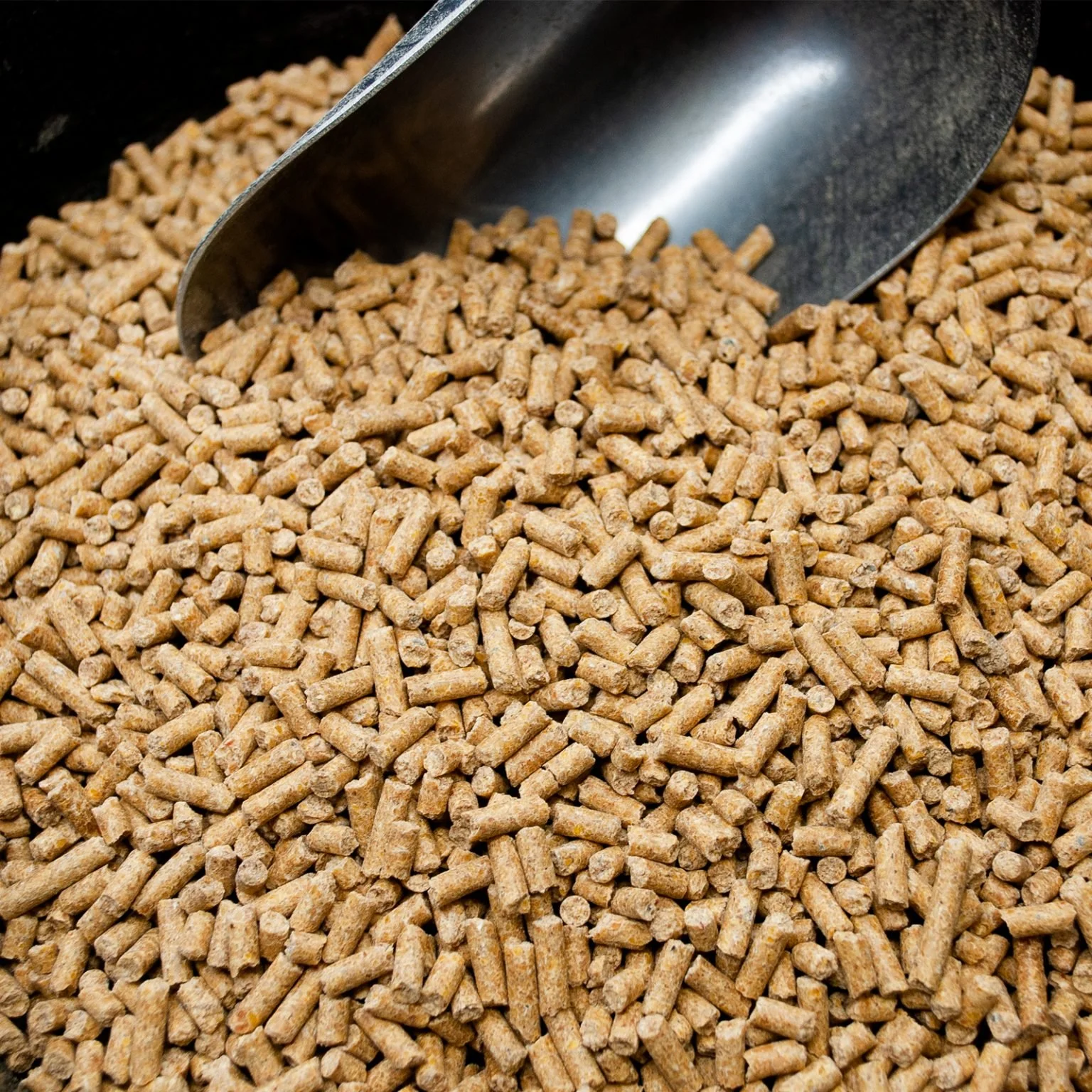 layer-pellets-1536x1536.jpg