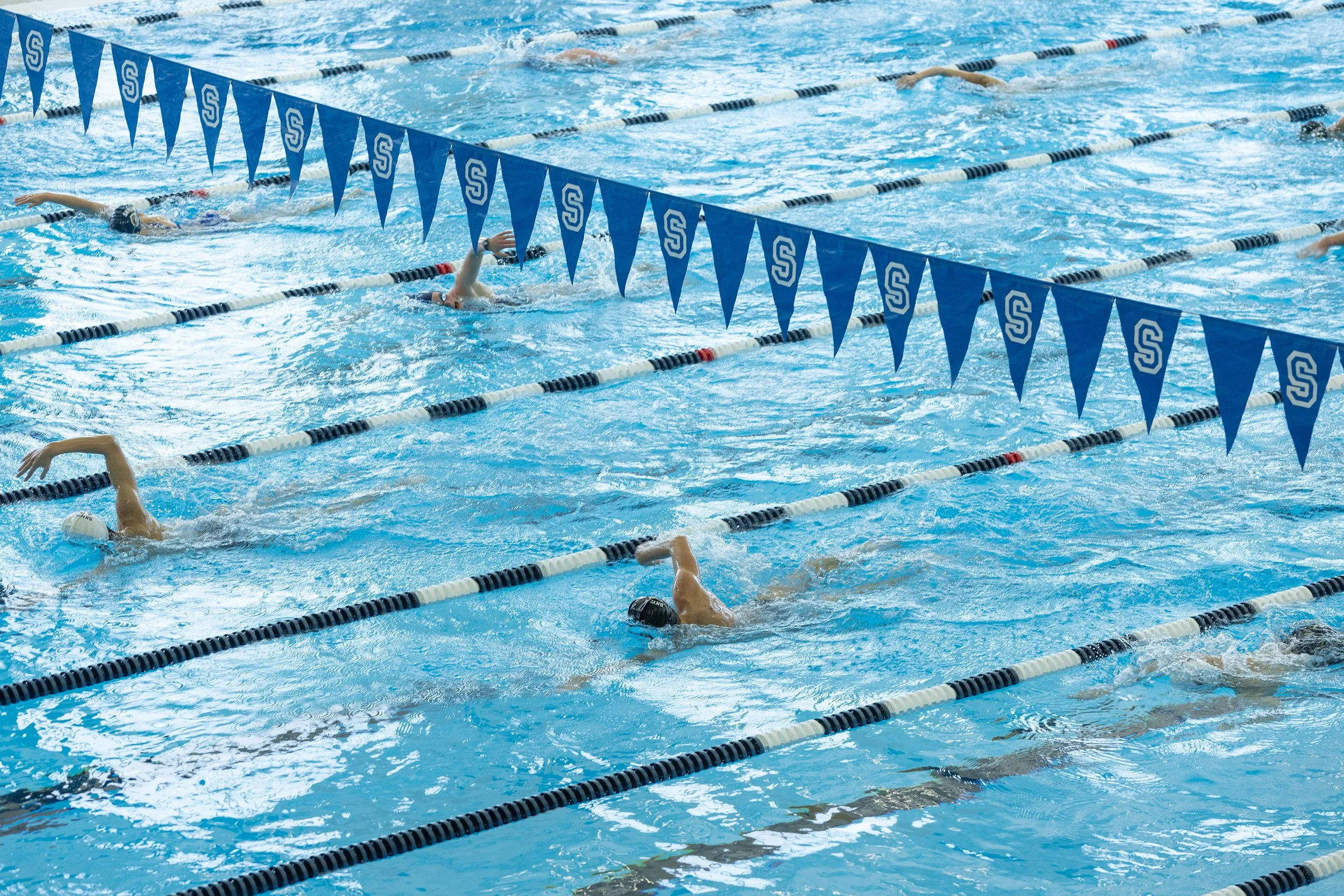 Swimmers practicing or competing in a swimming pool, with blue flags hanging across the lanes.