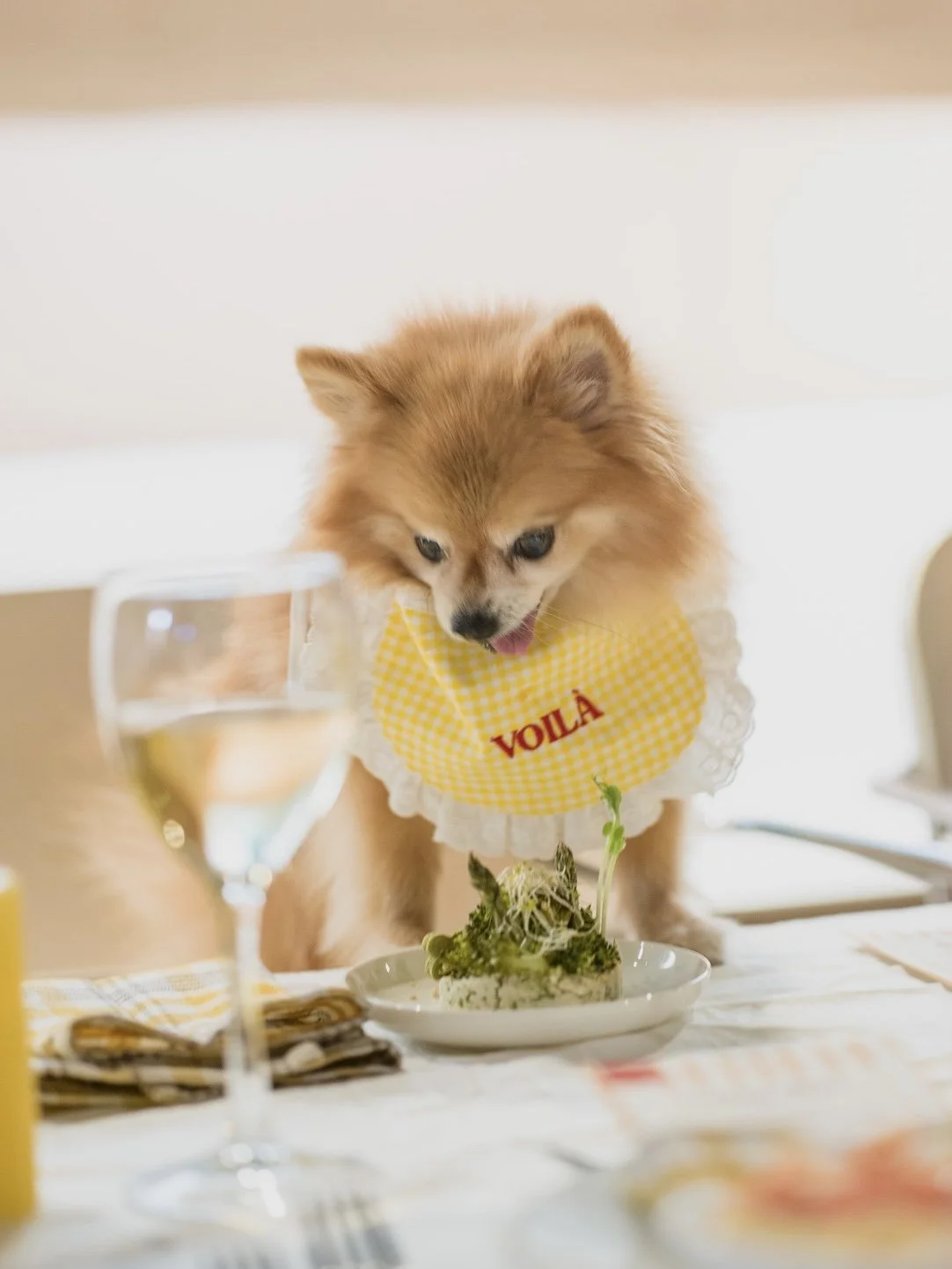 Puppy Love Diner