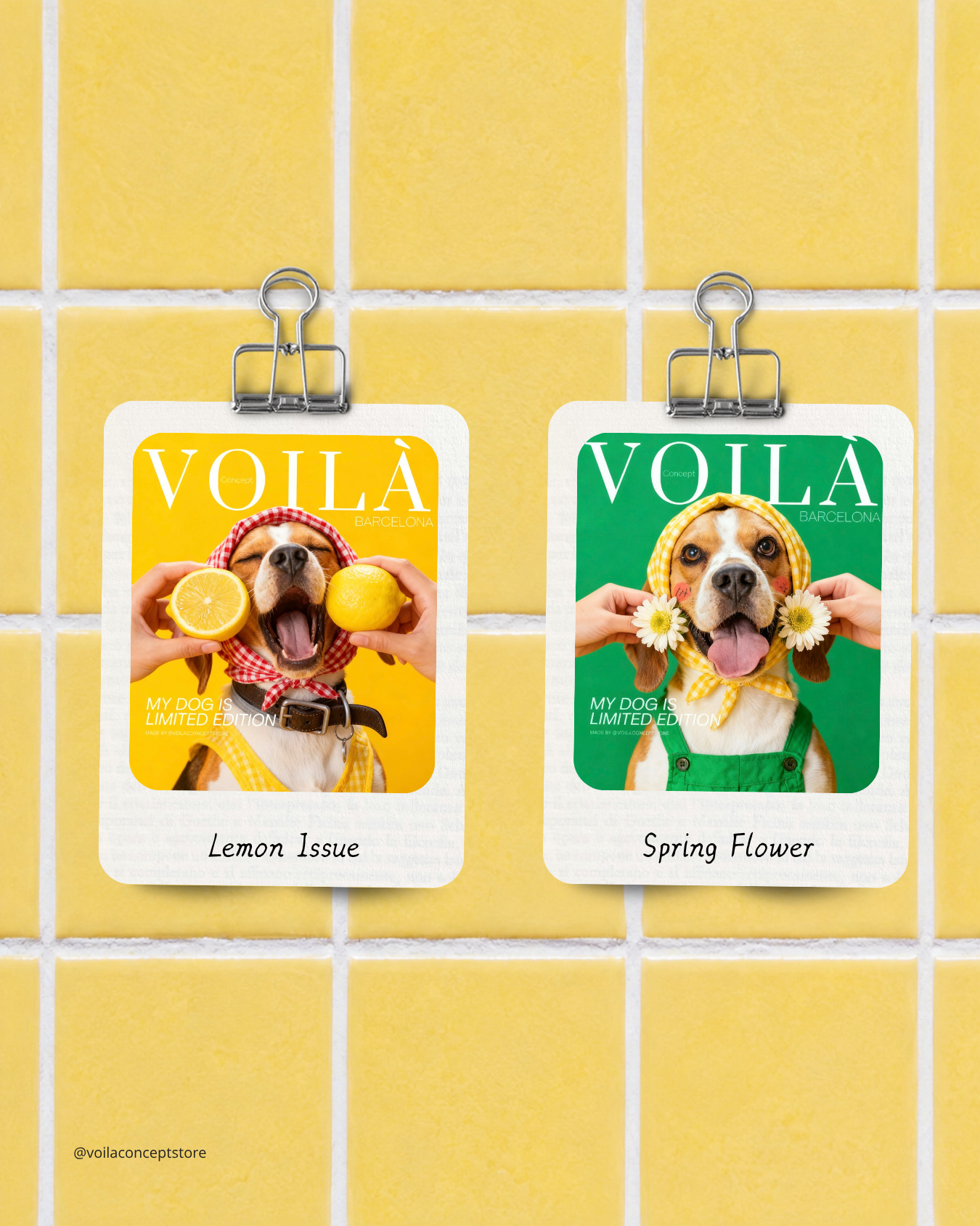 www.voilaconcept.com (Instagram帖子（45）) - 5.PNG