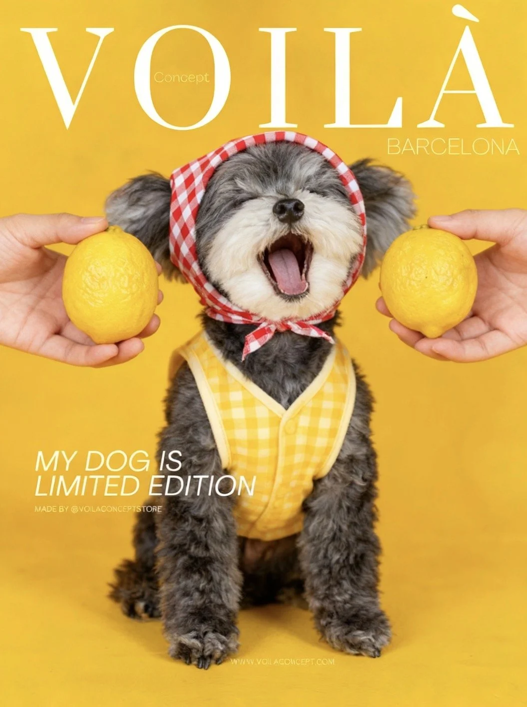 A cute puppy with a red checkered bandana and yellow vest, sitting against a yellow background, holding yellow lemons, and yawning with its mouth open.