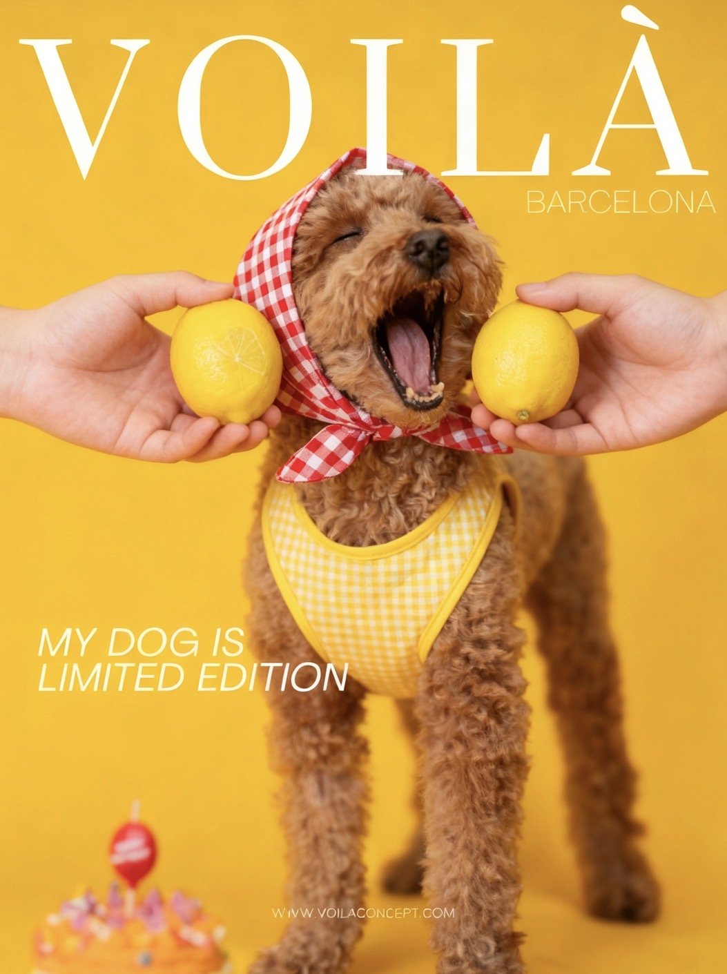 A brown curly-haired dog wearing a yellow gingham outfit and a red and white checkered headscarf, with its mouth wide open as if yawning or barking, holding a lemon in each paw, against a yellow background with text 'VOILÀ BARCELONA' and 'MY DOG IS L