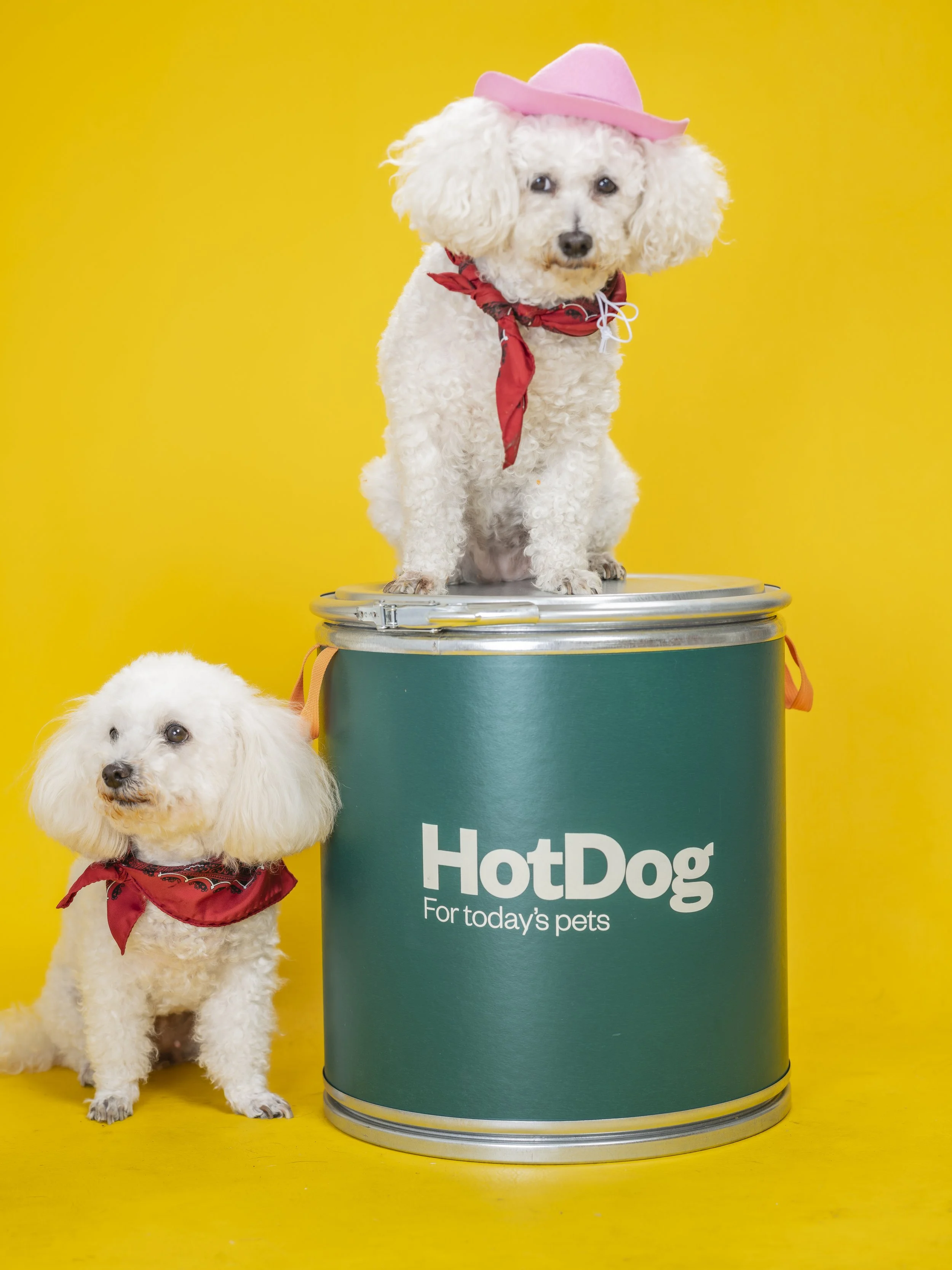 HotDog Food Storage Bin