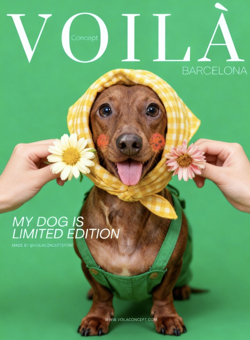 A cheerful dachshund dog with a yellow checkered scarf around its head, holding two flowers, against a bright green background, with text overlaid.