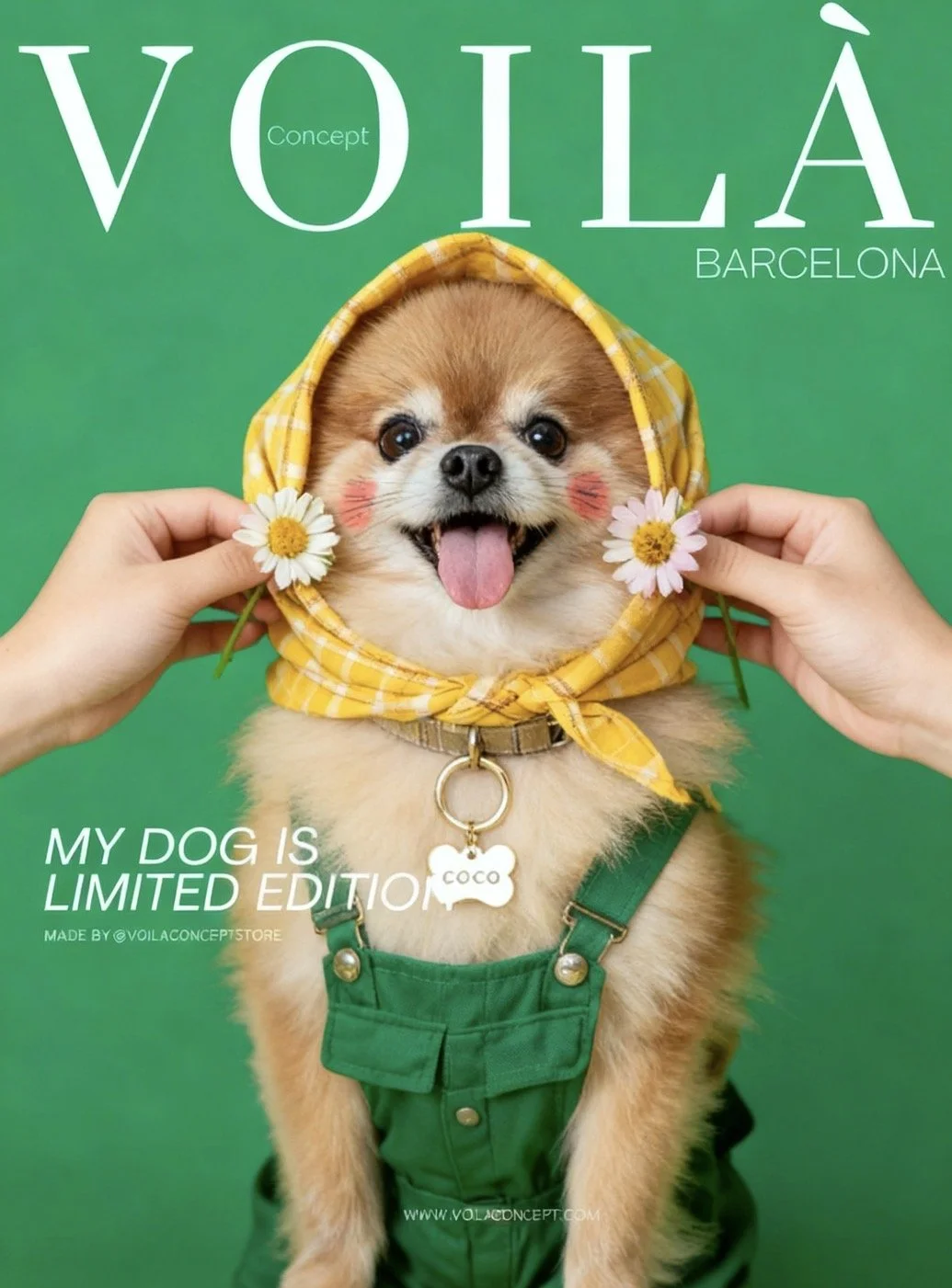 A cute dog wearing a yellow checkered hood, with pink cheeks painted on its face, holding daisies, against a green background, with text "VOILÀ BARCELONA," and a caption "My dog is limited edition."