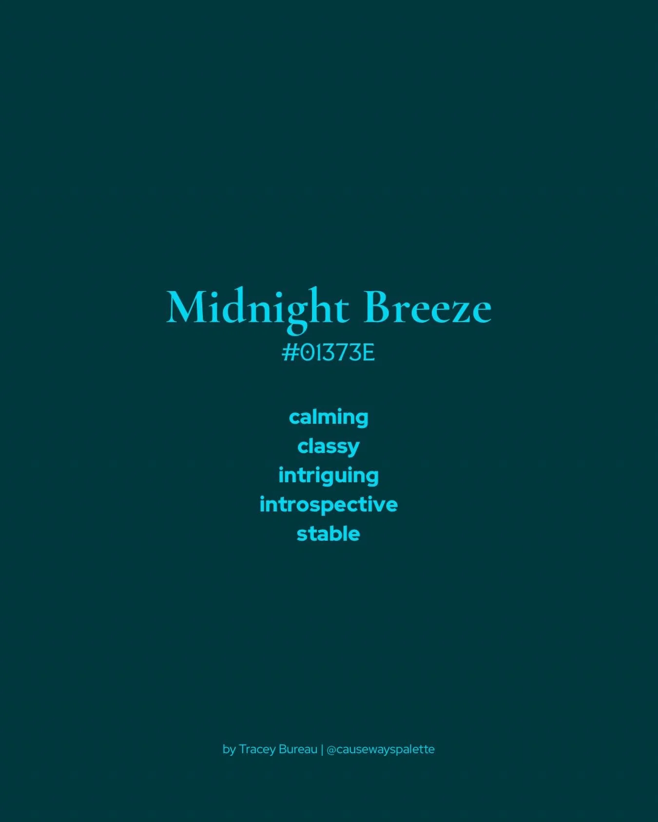 midnight breeze 

stable &middot; introspective &middot; calming 

#solidcolorlove #colorinspiration #causewayspalette