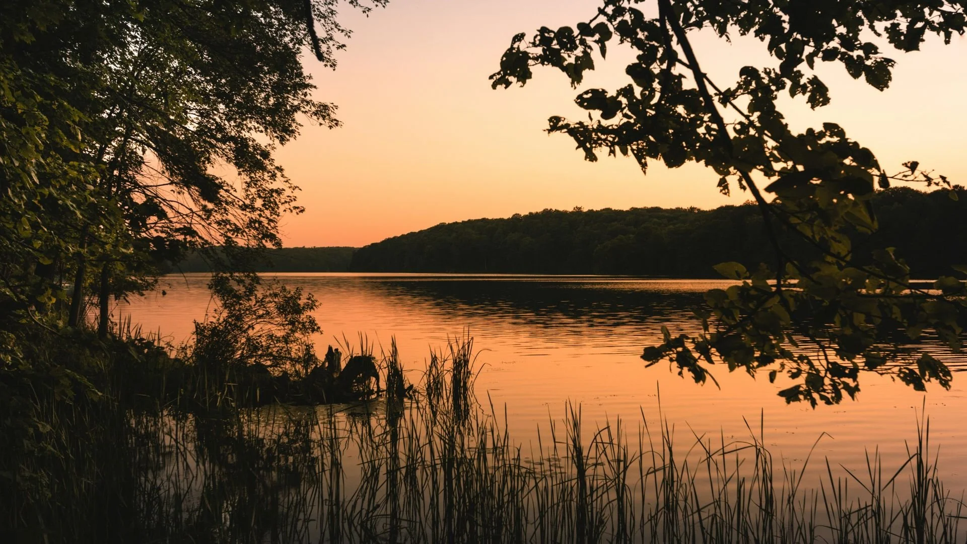 Peaceful lake at sunset framed by trees representing the Causeways Palette Privacy Policy.