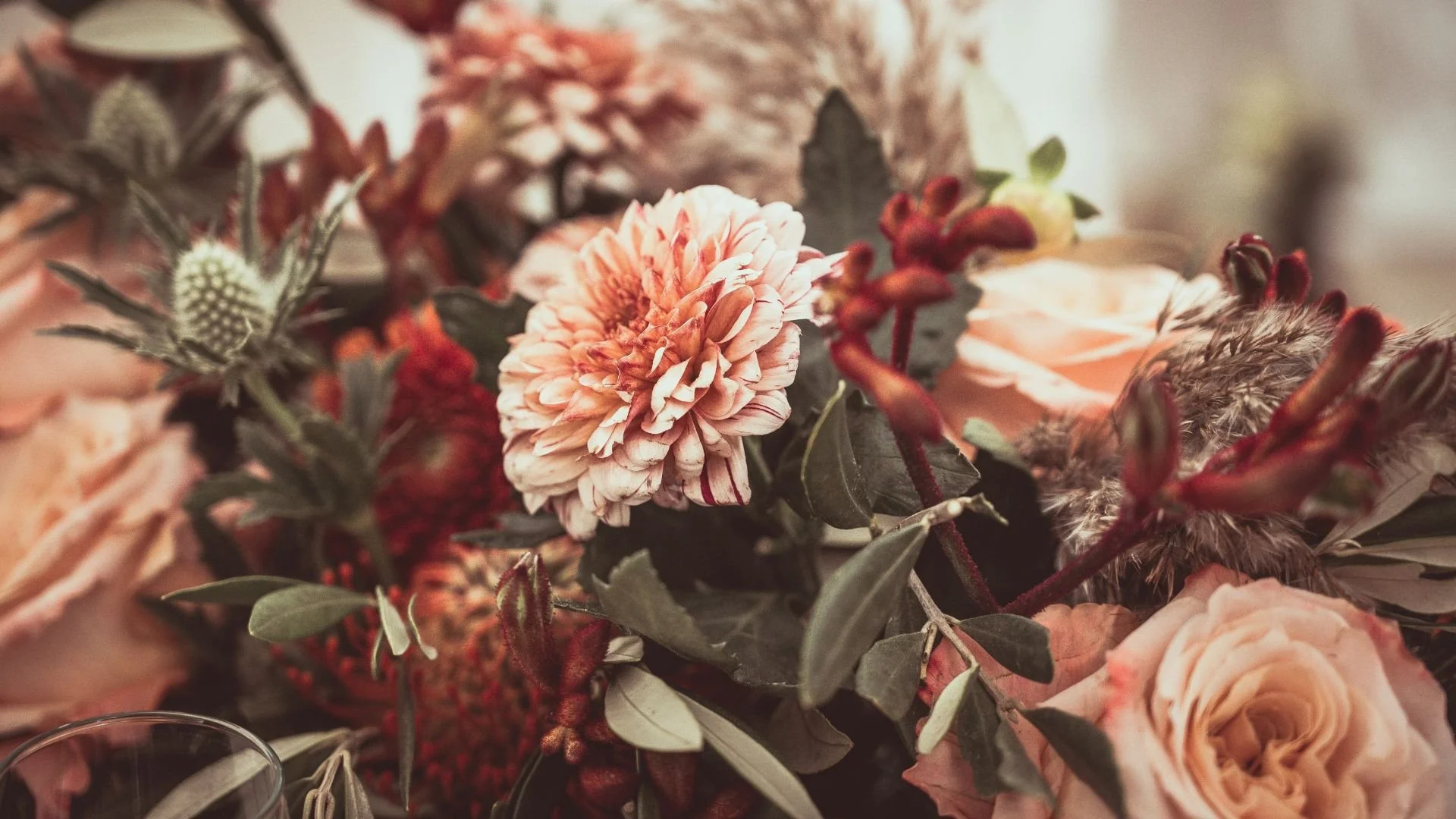 Floral arrangement in warm blush, coral, and earthy tones representing the observation of color in everyday life. Featured on the About Causeways Palette page alongside the Conversation About Color section.