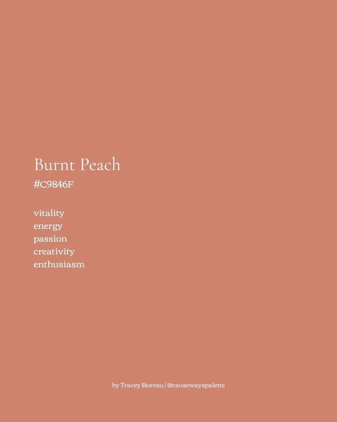 color palette 001 solid color burnt peach c9846f by tracey bureau.jpg
