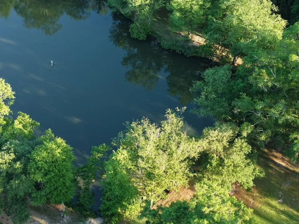 Aerial view of a lake surrounded by green trees, with a small boat on the water.