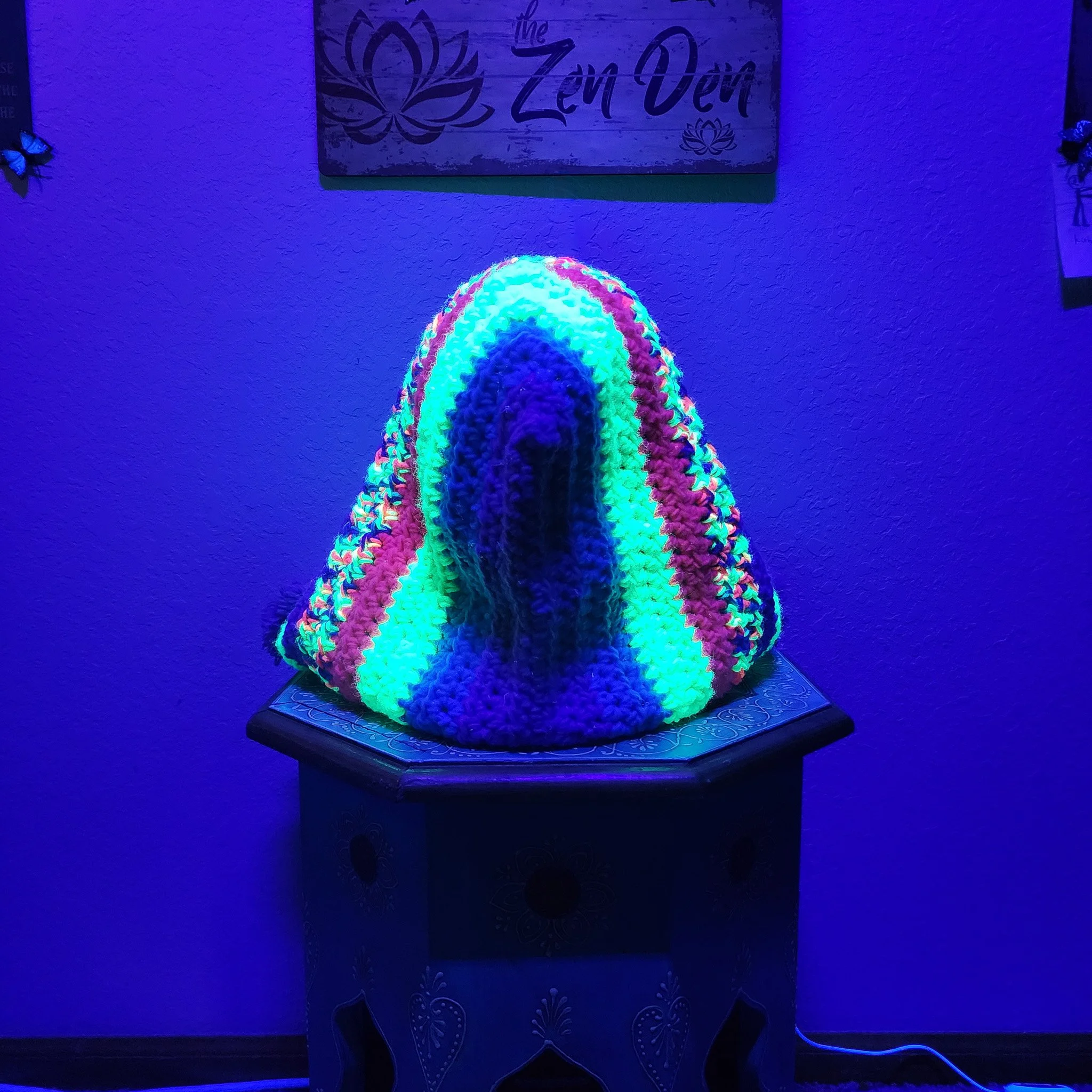 20260428_195502.jpg