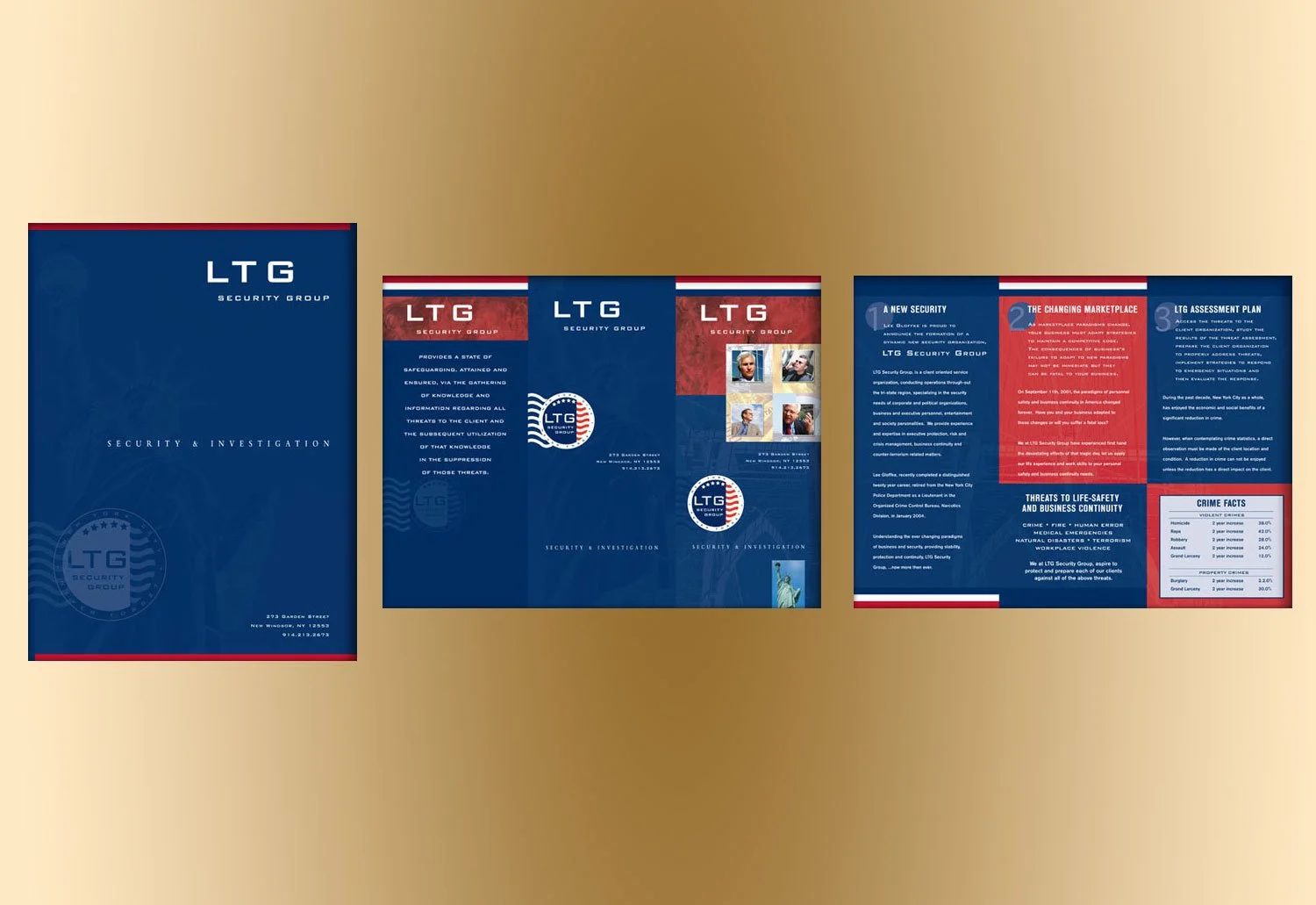 LTG Security Group Tri-Fold Pamphlet