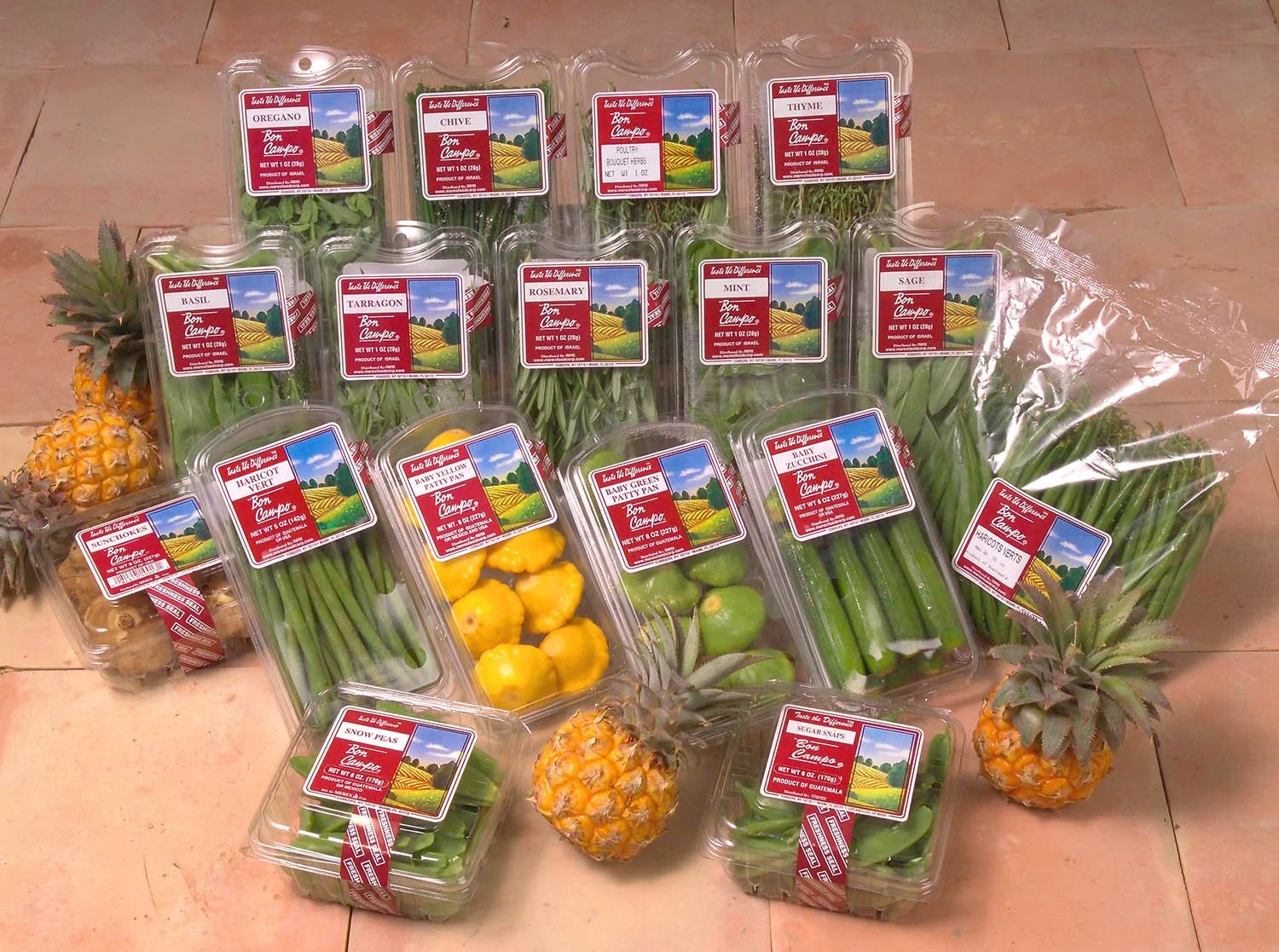 BON-CAMPO_herbs_squash_beans.jpg