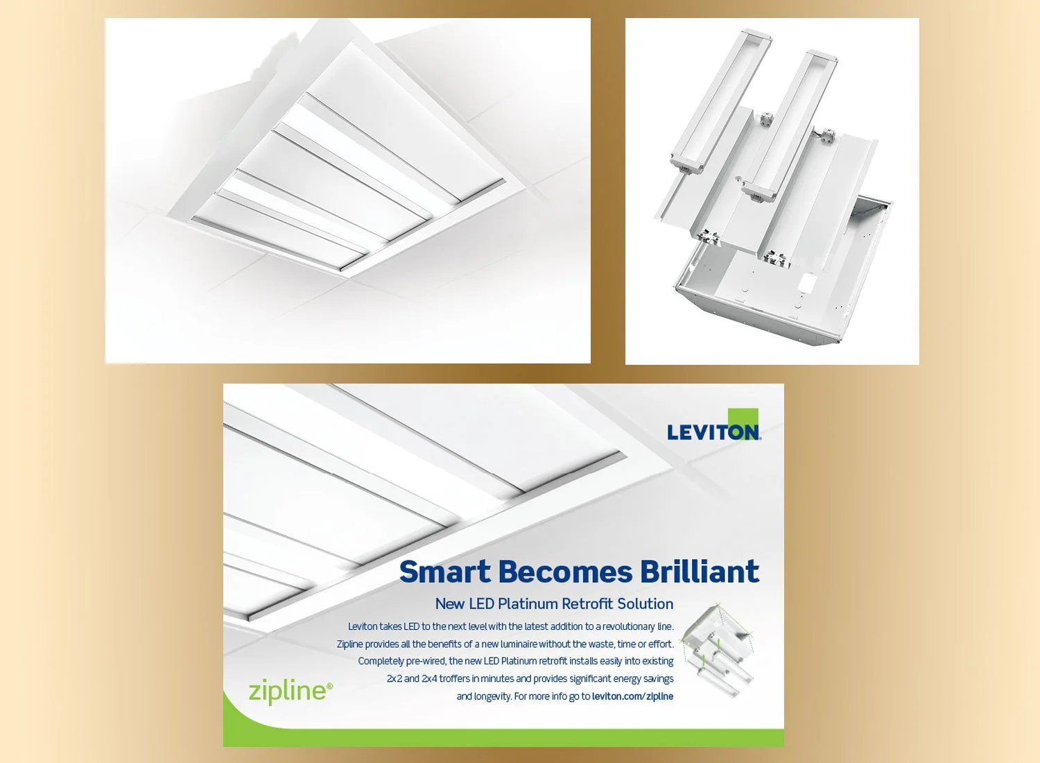 Leviton Manufacturing - Art Direct Photoshoot - Promo Material Design/Layout