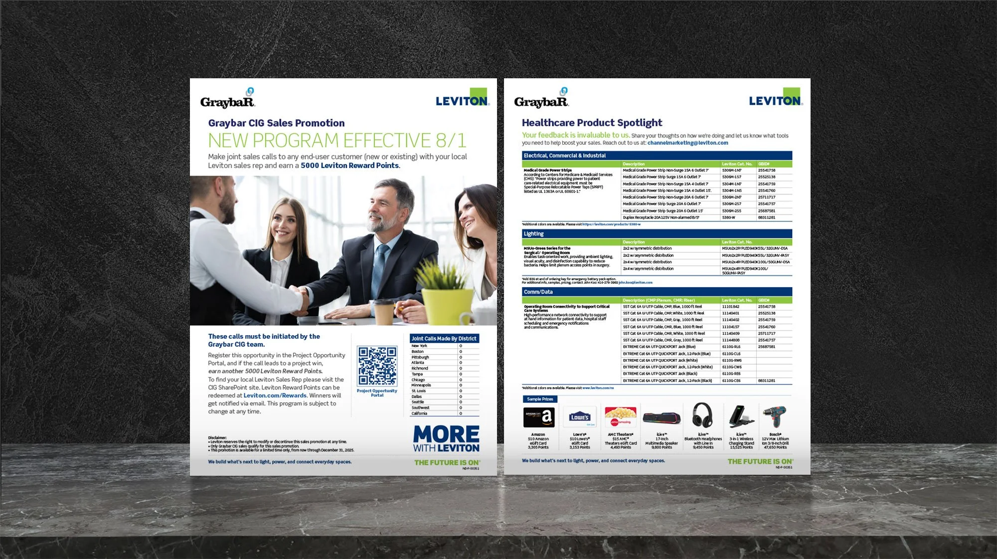Leviton Manufacturing 2-Page Flyer