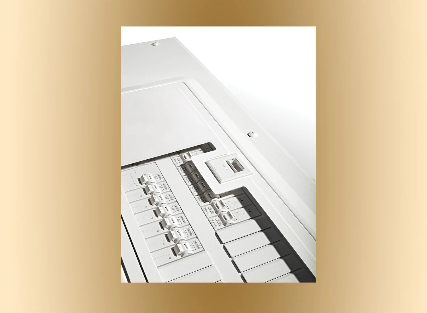 Leviton Manufacturing L-400 Catalog Section Opener - Load Center