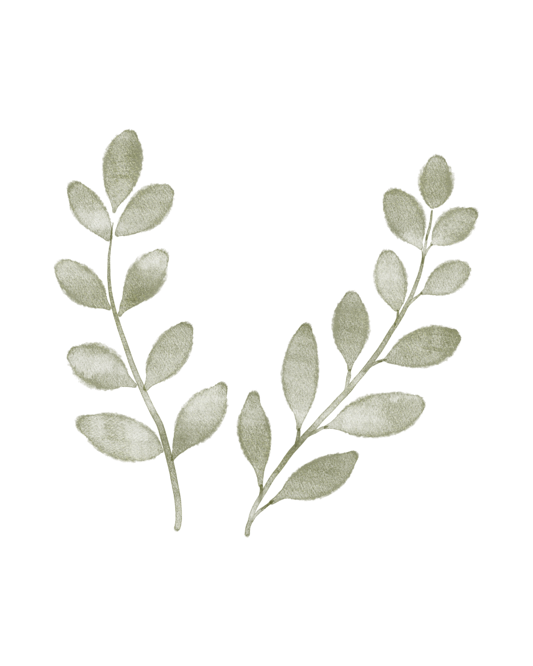 Two green leafy branches, possibly sage, arranged in a V shape against a black background.