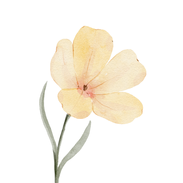 Watercolor illustration of a pale yellow flower and stem.
