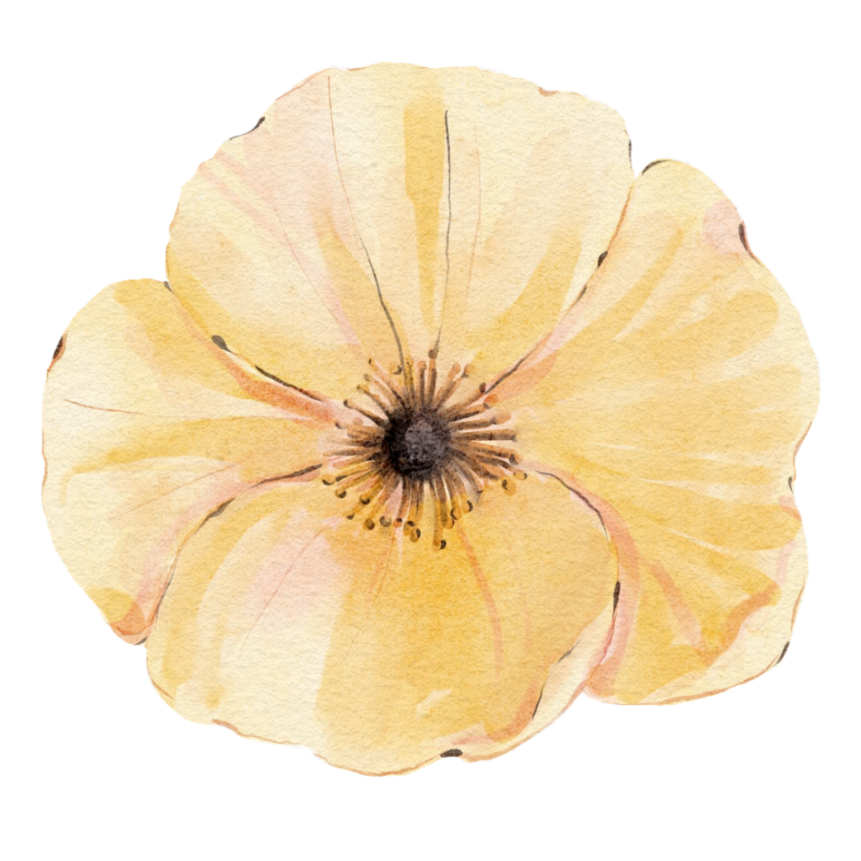 A pale yellow flower in watercolor.