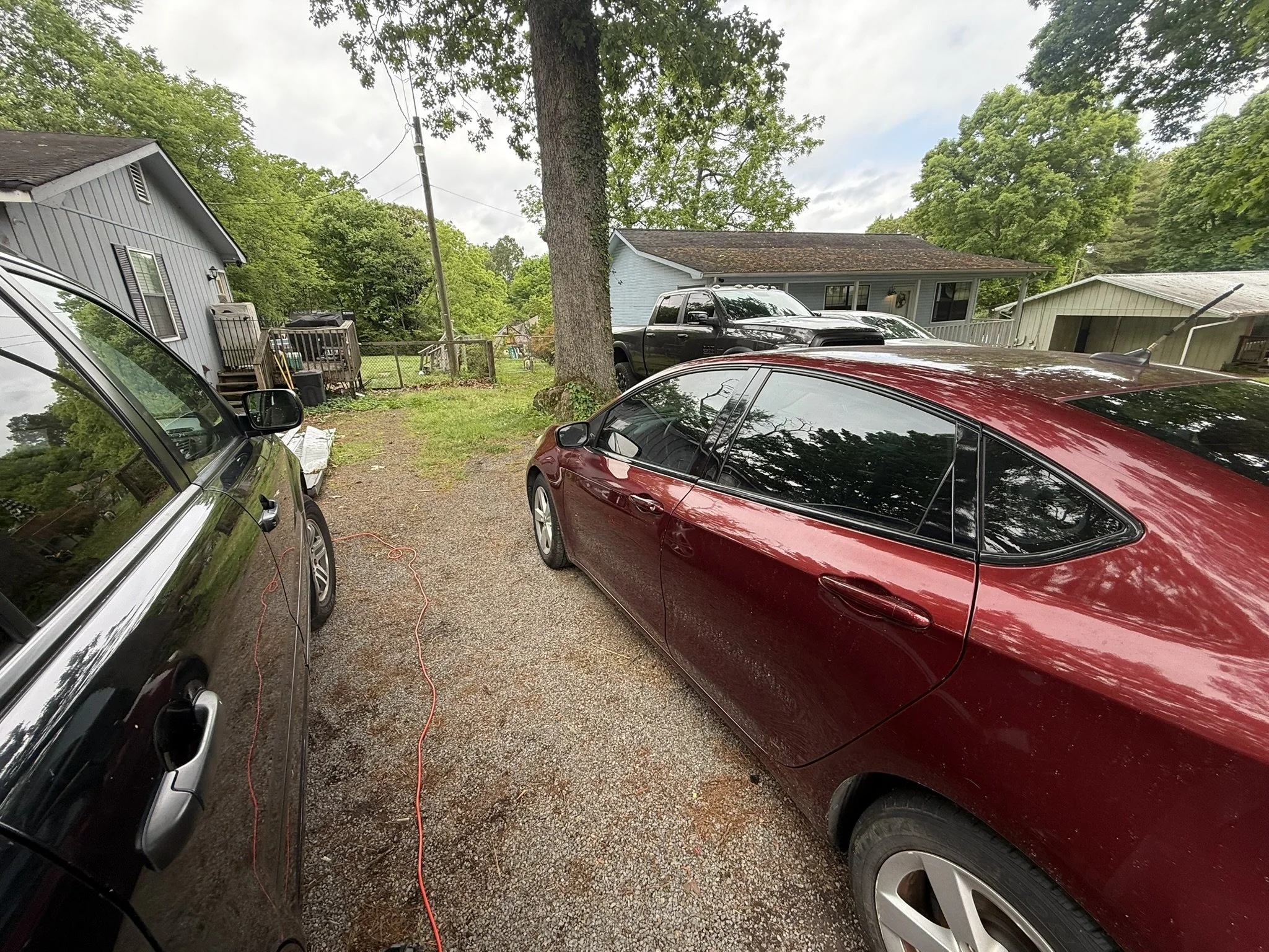 Residential driveway with two parked cars, one black and one red, surrounding a large tree in front of houses, with a grassy yard and trees in the background.