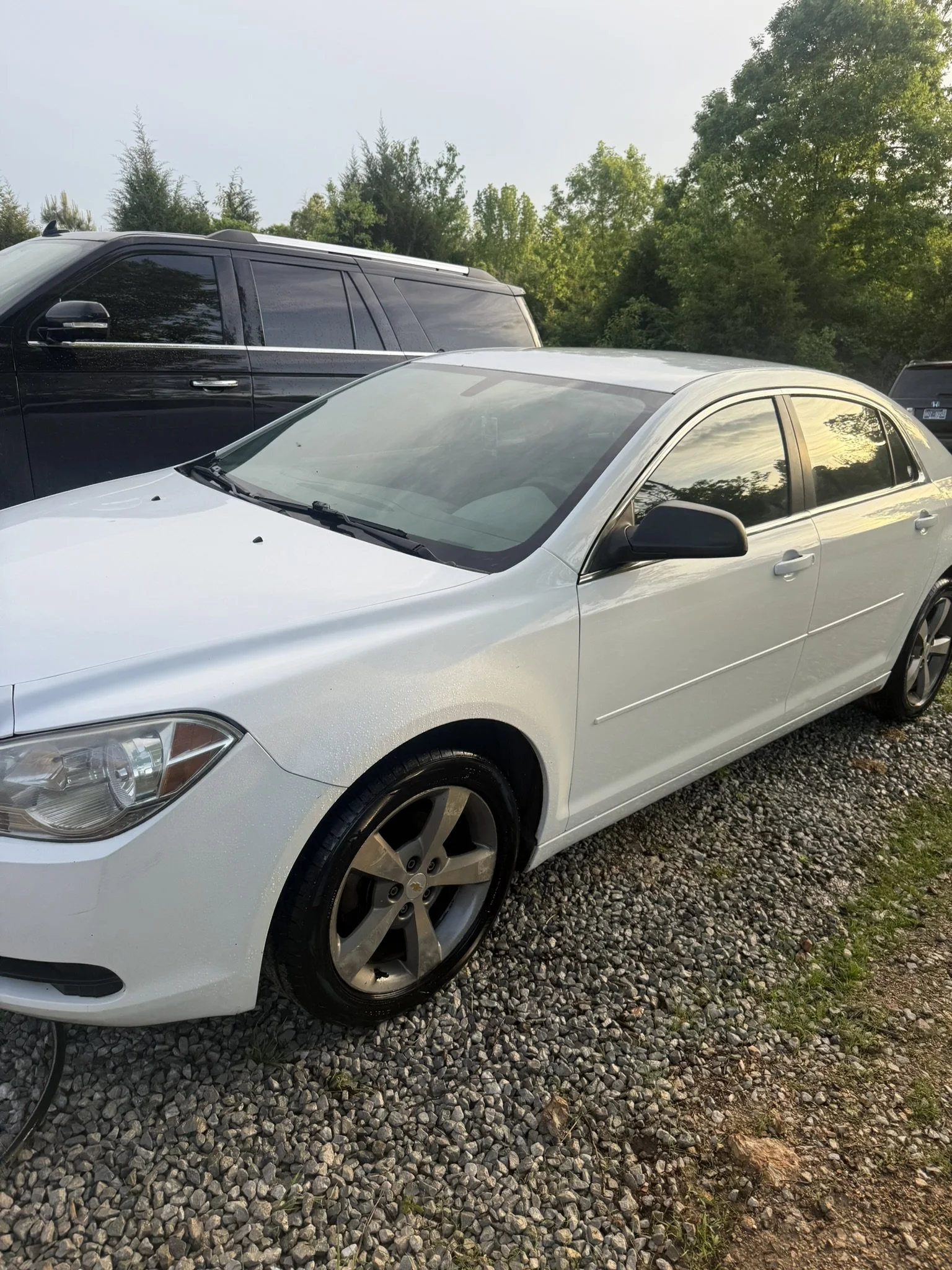 A white sedan parked on a gravel surface with a black SUV and a background of green trees and blue sky.