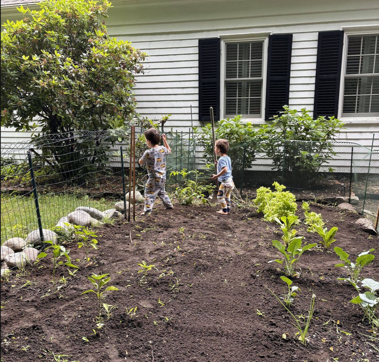 Gardening for Seniors: Why It's One of the Best Things You Can Do for Your Health