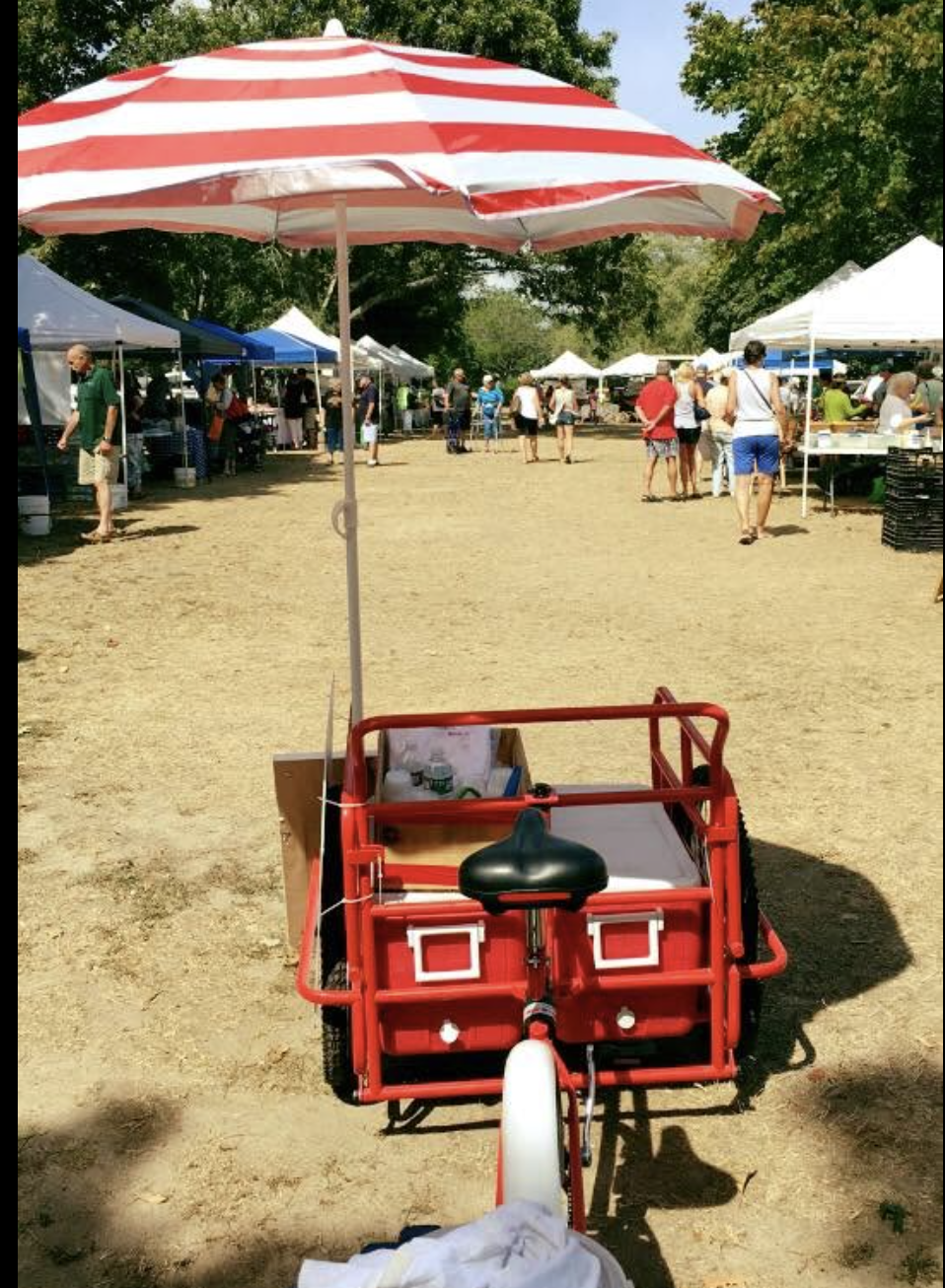 Farmers Markets on the South Shore &amp; Cape Cod: A Senior's Guide for Summer 2026