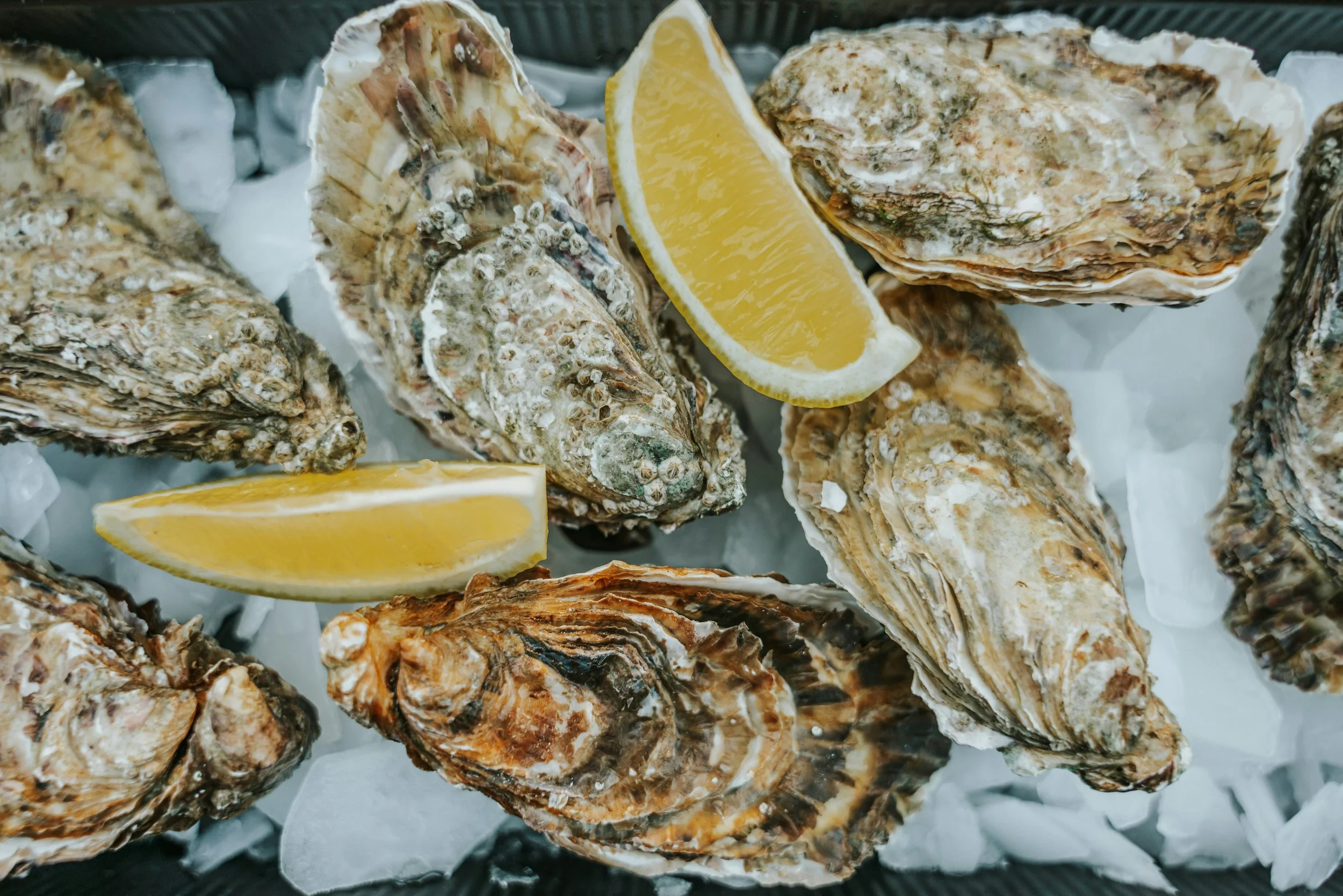 Savin Bar &amp; Kitchen Fresh $1 Oysters