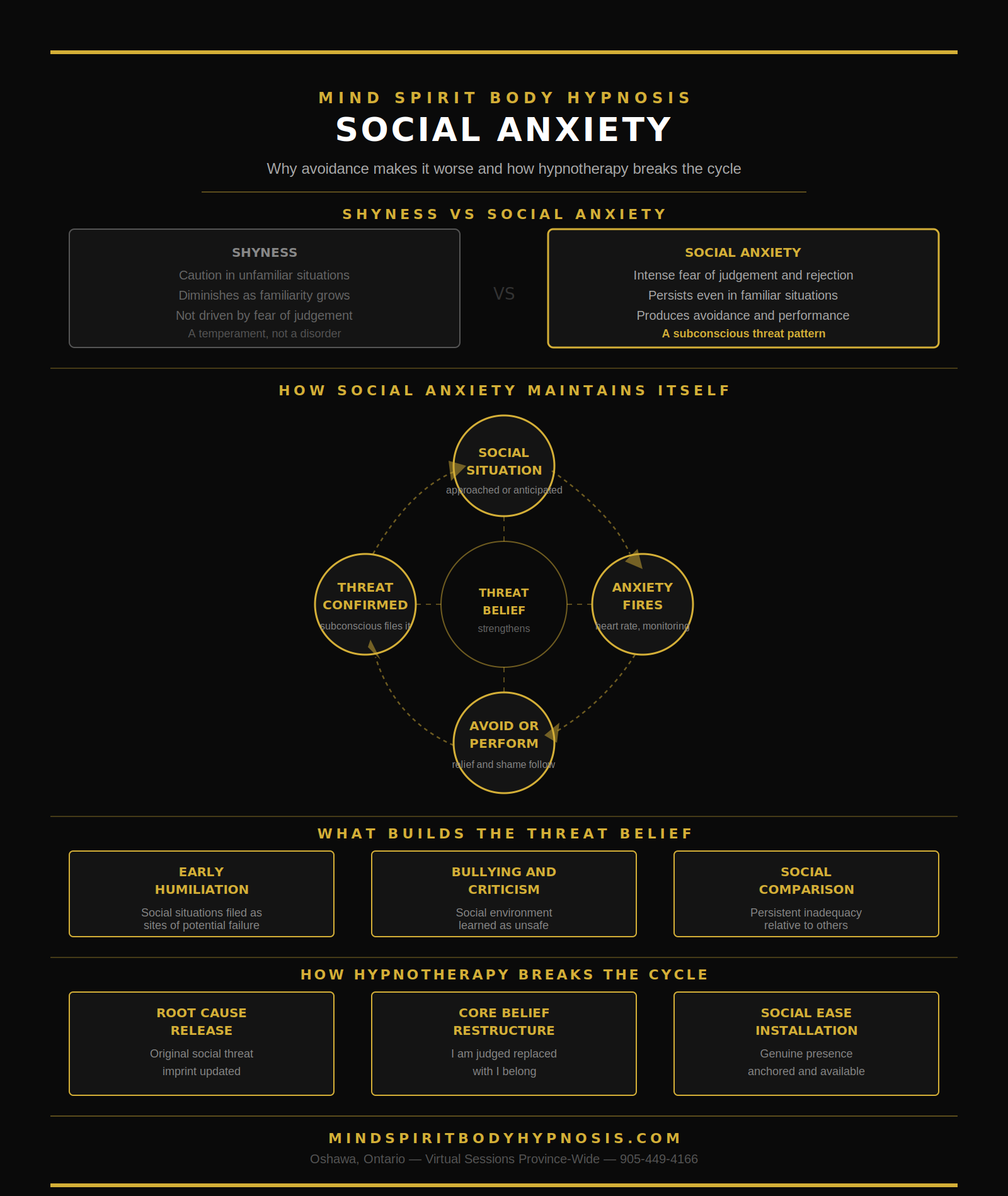 Infographic the social anxiety loop