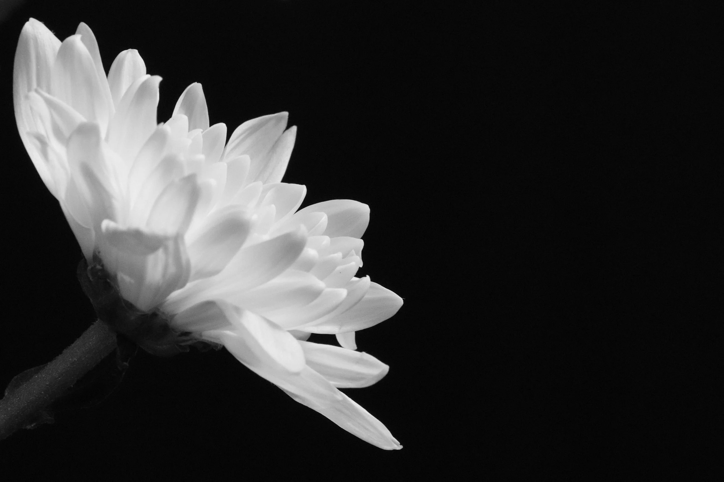 hypnosis therapy and emdr for motivation