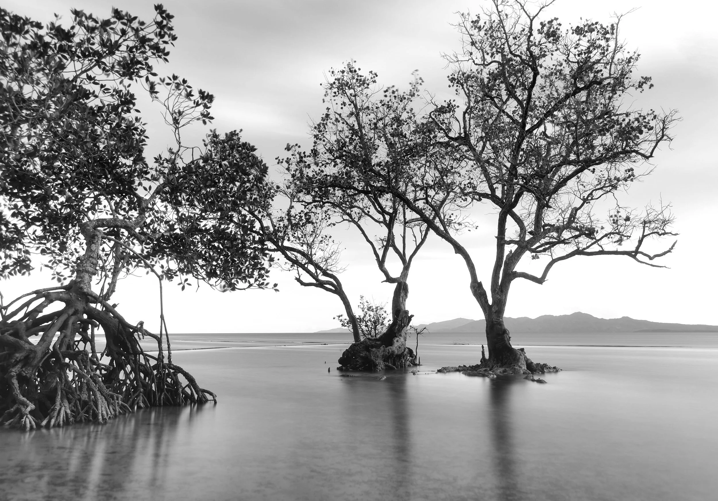 Hypnotherapy by Fanis Makrigiannis