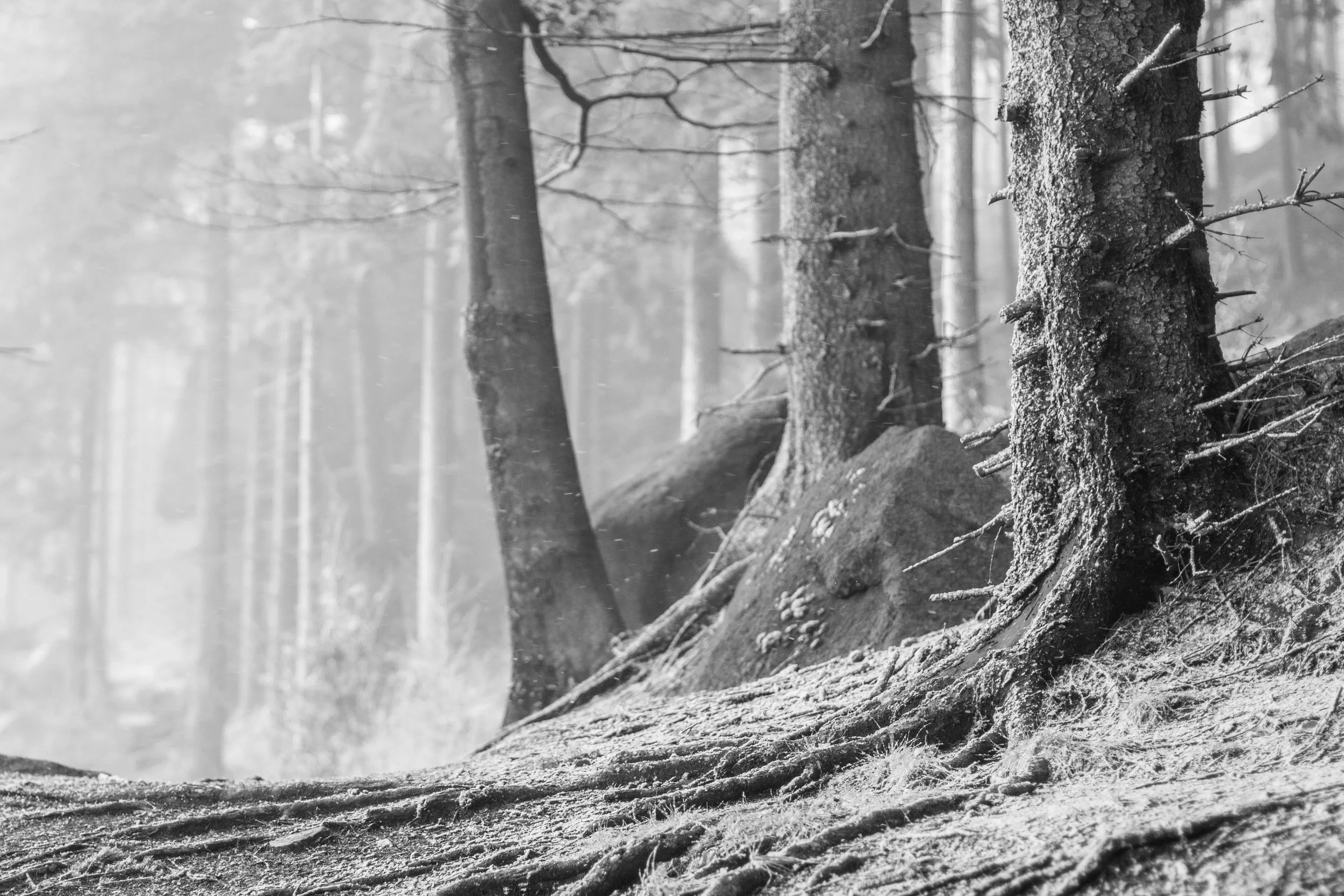 How to let go of your past