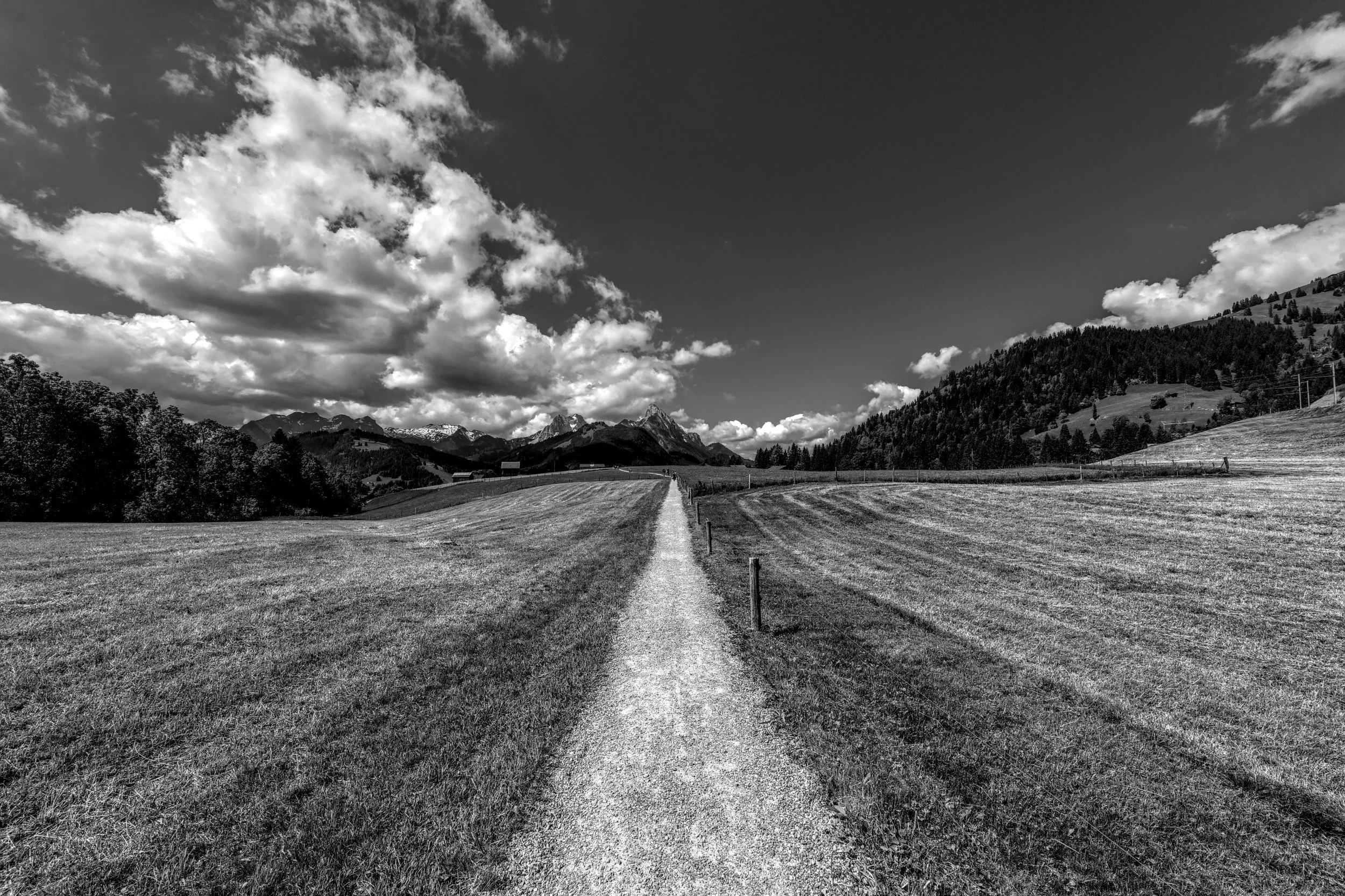Hypnosis for the fear of Driving