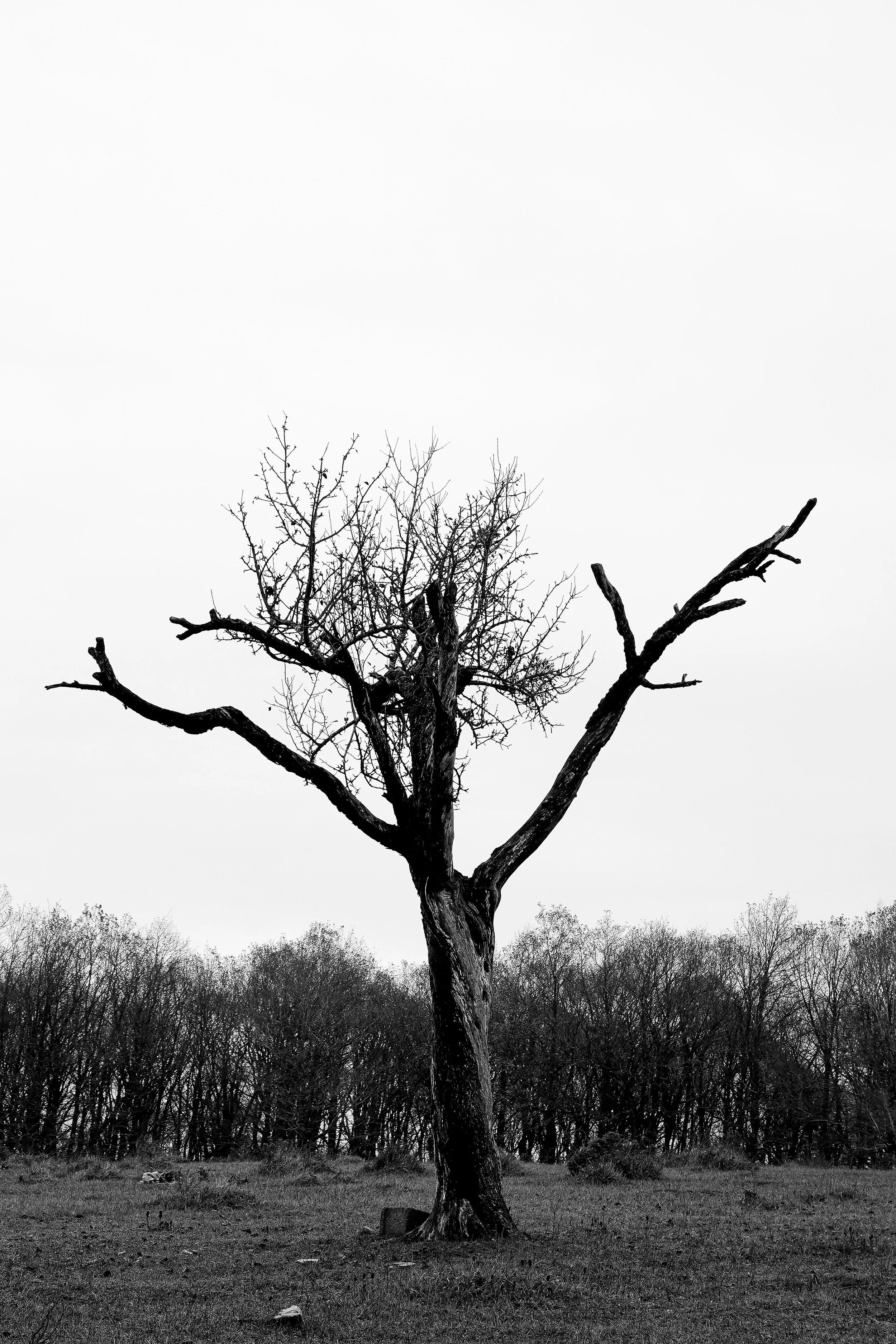 Hypnosis for childhood trauma